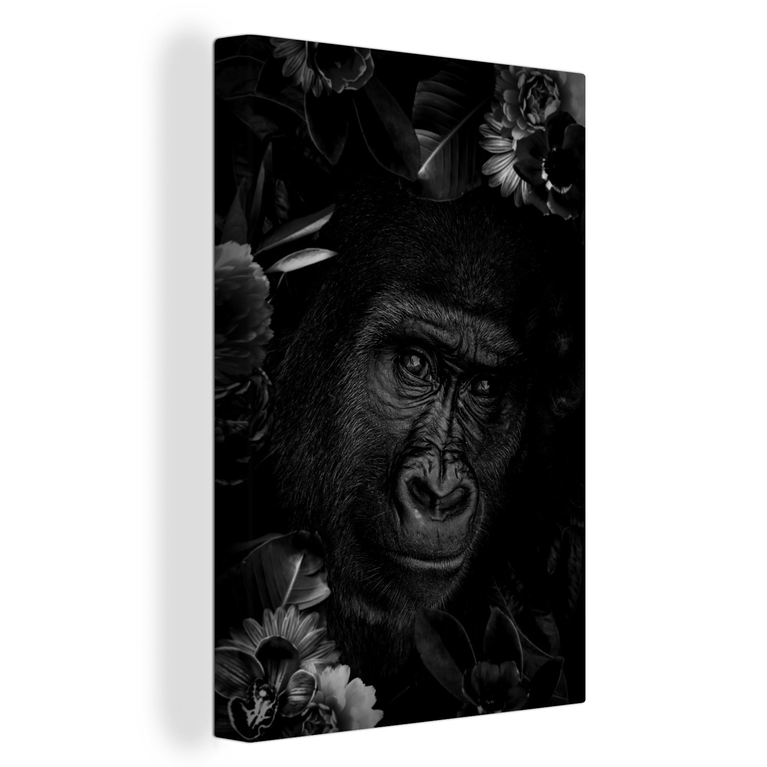 Zackenaufhänger, 20x30 bespannt OneMillionCanvasses® - St), Hintergrund cm auf schwarzem Botanischer Leinwandbild Gemälde, schwarz fertig Leinwandbild weiß, inkl. (1 Affe und