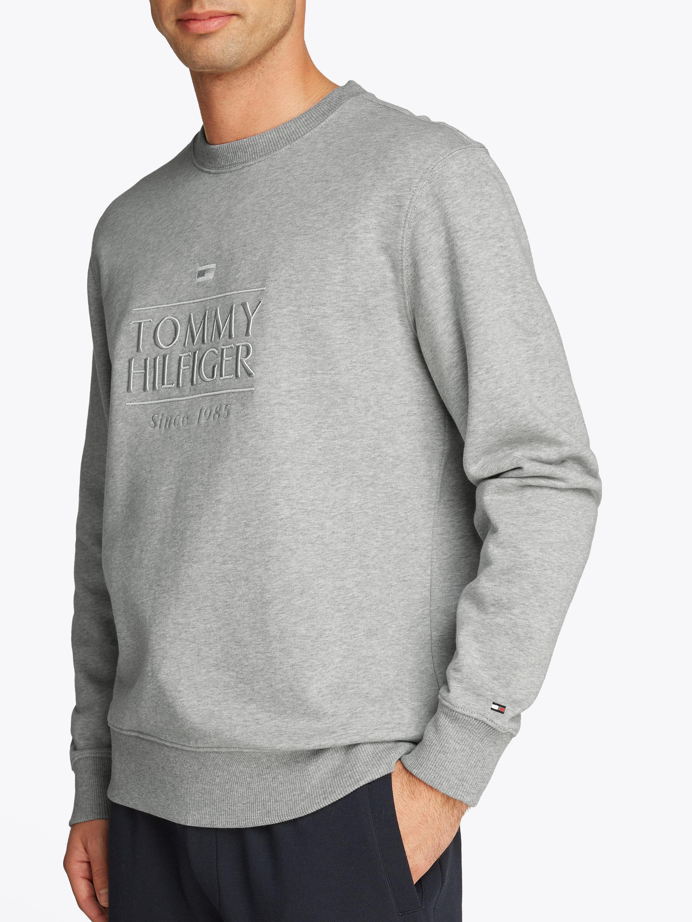 Tommy Hilfiger Sweatshirt HILFIGER EMBRO LOGO SWEATSHIRT günstig online kaufen