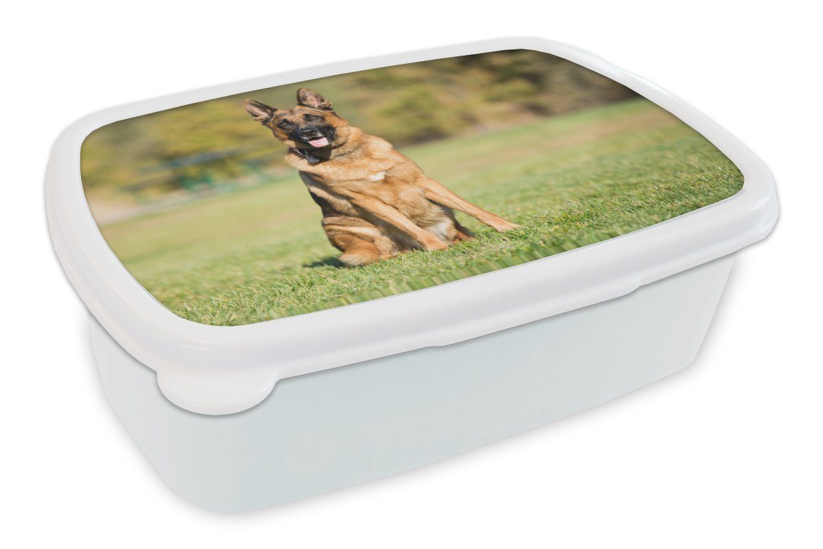 MuchoWow Lunchbox Deutscher (2-tlg), sitzend, Schäferhund und weiß der Mädchen Brotdose, in Jungs Kunststoff, Erwachsene, Sonne für Kinder für Brotbox und