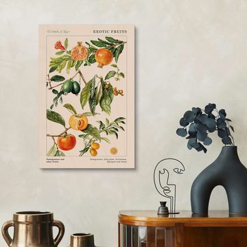 Posterlounge Holzbild Elizabeth Rice, Granatapfel und andere Früchte, Esszimmer Landhausstil Illustration