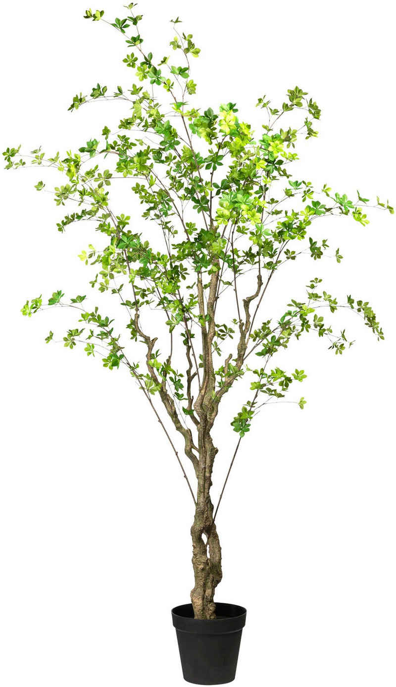 Kunstbaum Louisiana-Baum Louisiana-Baum, Creativ green, Höhe 240 cm
