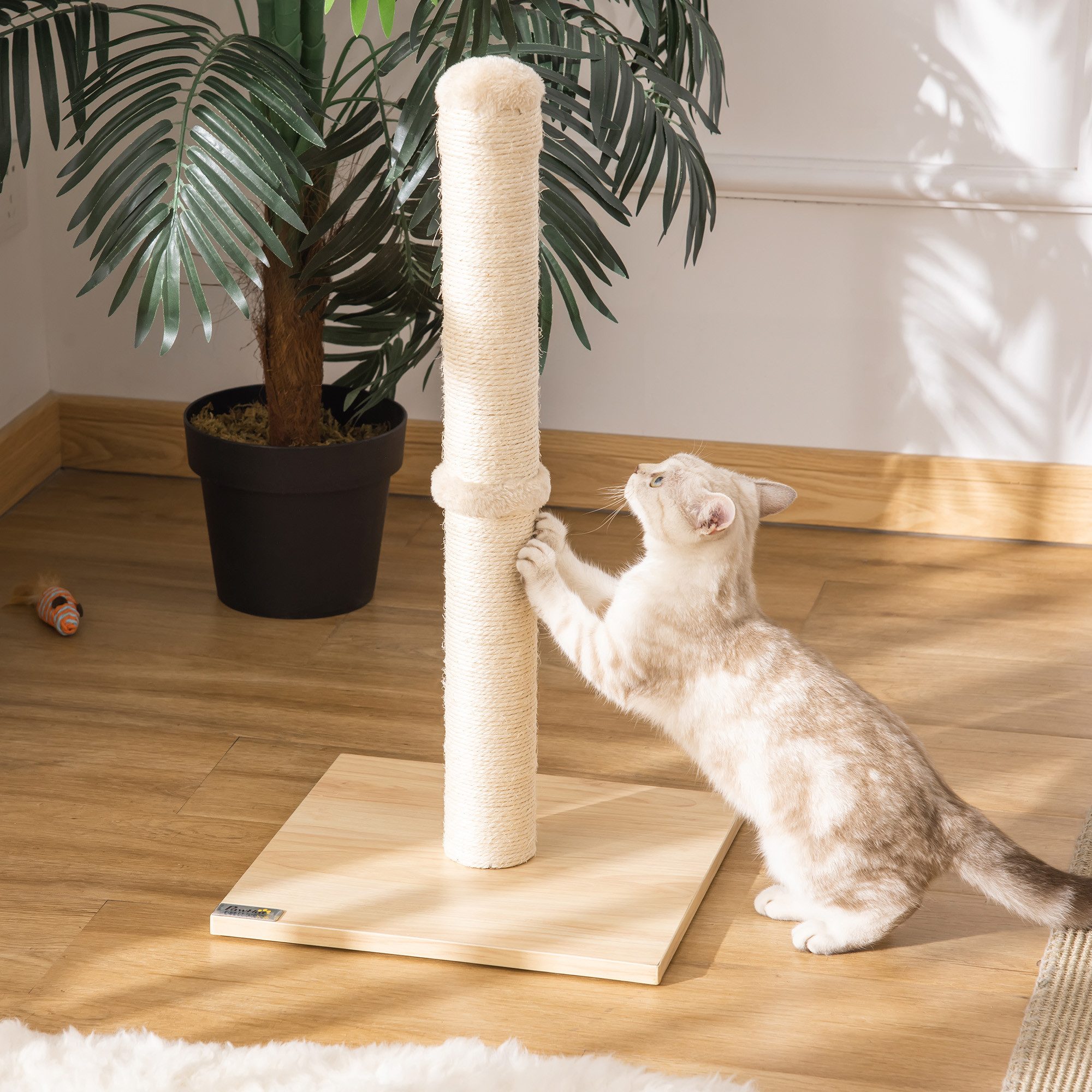 furnicato Kratzbaum Mini-34x34x60 cm Beige+Eiche für Katzen bis 5 kg, Kratznapf mit Sisalseil zum Möbel-Schutz für kleine Hauskatzen