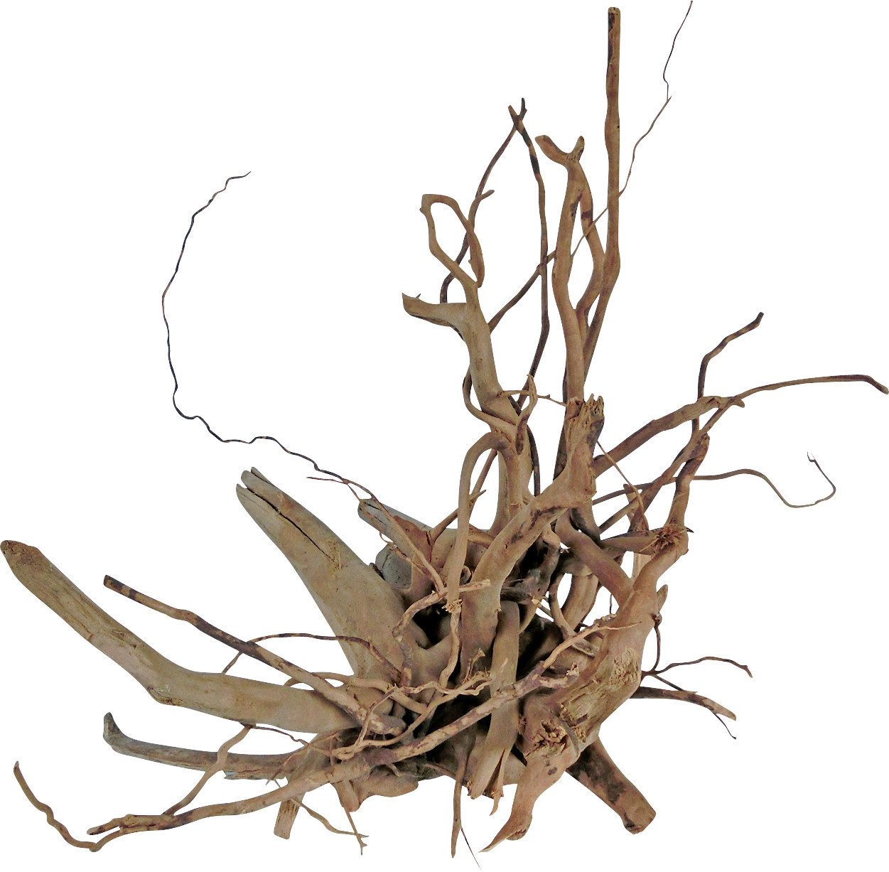 Aquariendeko Orbit Finger-Wurzel Größe M 30-40 cm