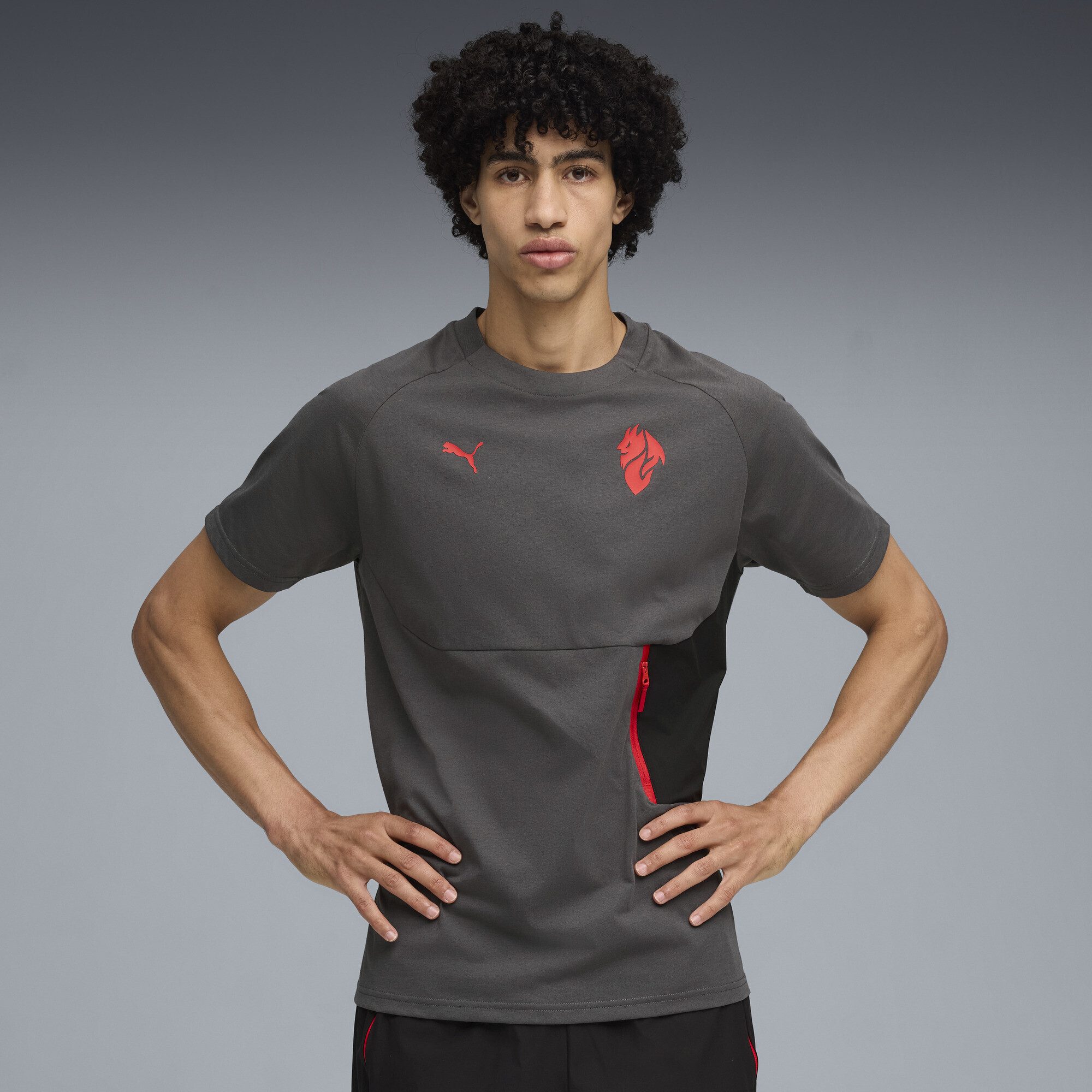 PUMA T-Shirt AC Milan PUMATECH T-Shirt günstig online kaufen