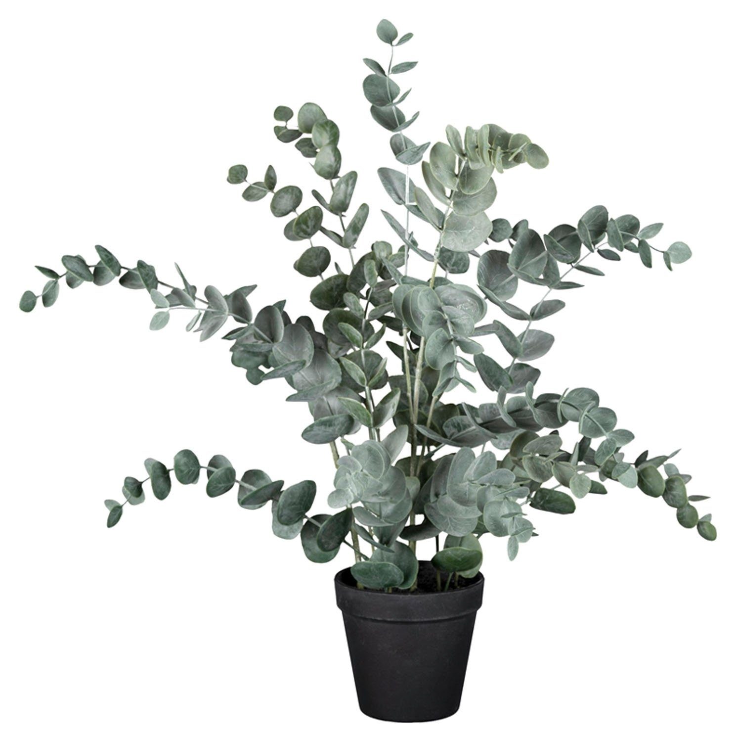 Kunstpflanze Eukalyptus im Topf HELENAS, Grün, Kunststoff, Gasper, Höhe  53,00 cm