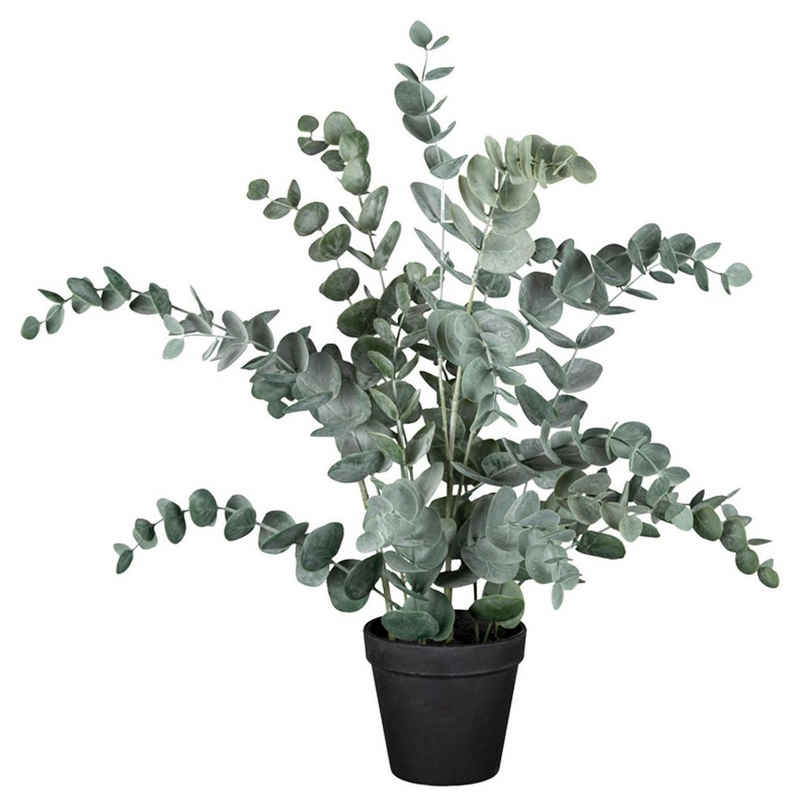 Kunstpflanze Eukalyptus im Topf HELENAS, Grün, Kunststoff, Gasper, Höhe 53 cm