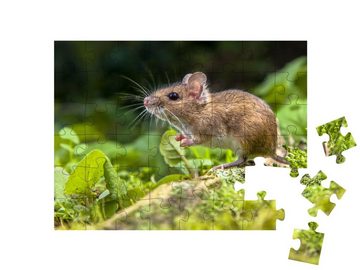 puzzleYOU Puzzle Süße kleine Maus im Wald, 48 Puzzleteile, puzzleYOU-Kollektionen Mäuse, Insekten & Kleintiere