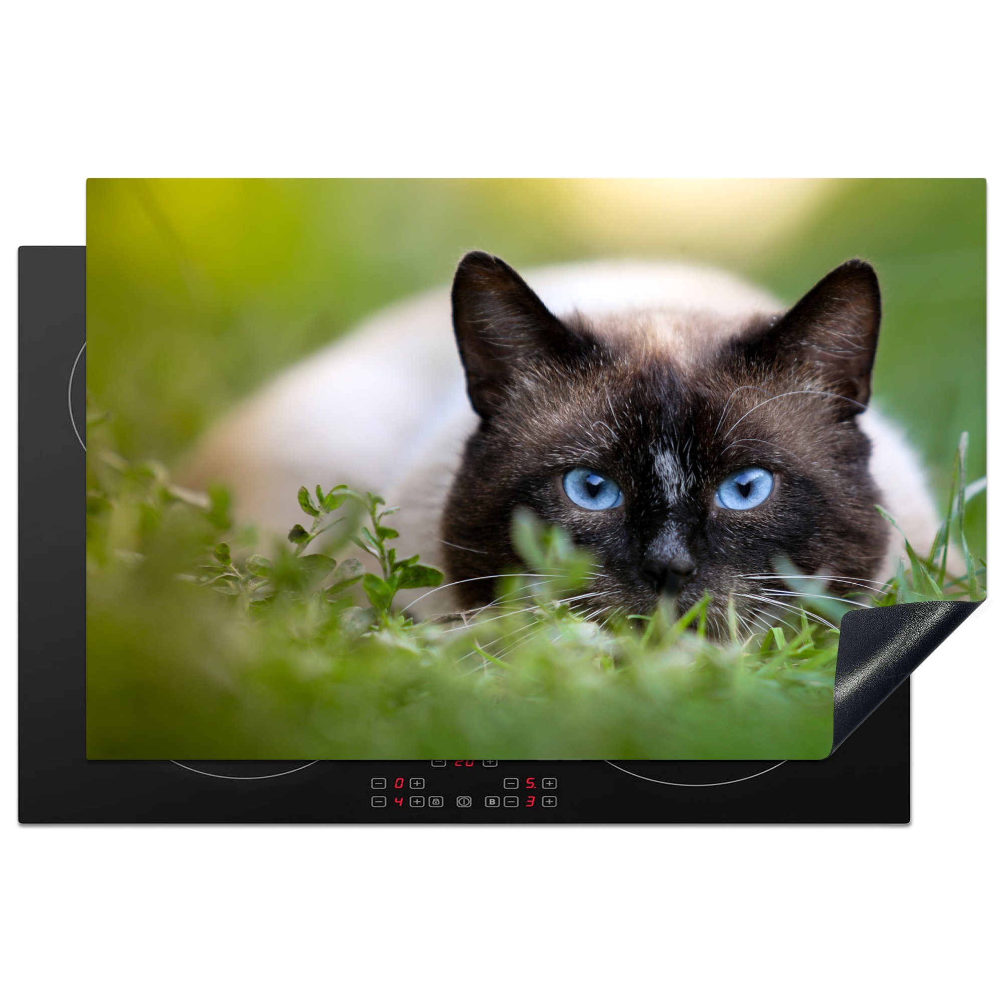 (1 Katze MuchoWow für Vinyl, 81x52 Induktionskochfeld die Gras Ceranfeldabdeckung Herdblende-/Abdeckplatte cm, Porträt, küche, Schutz tlg), - -