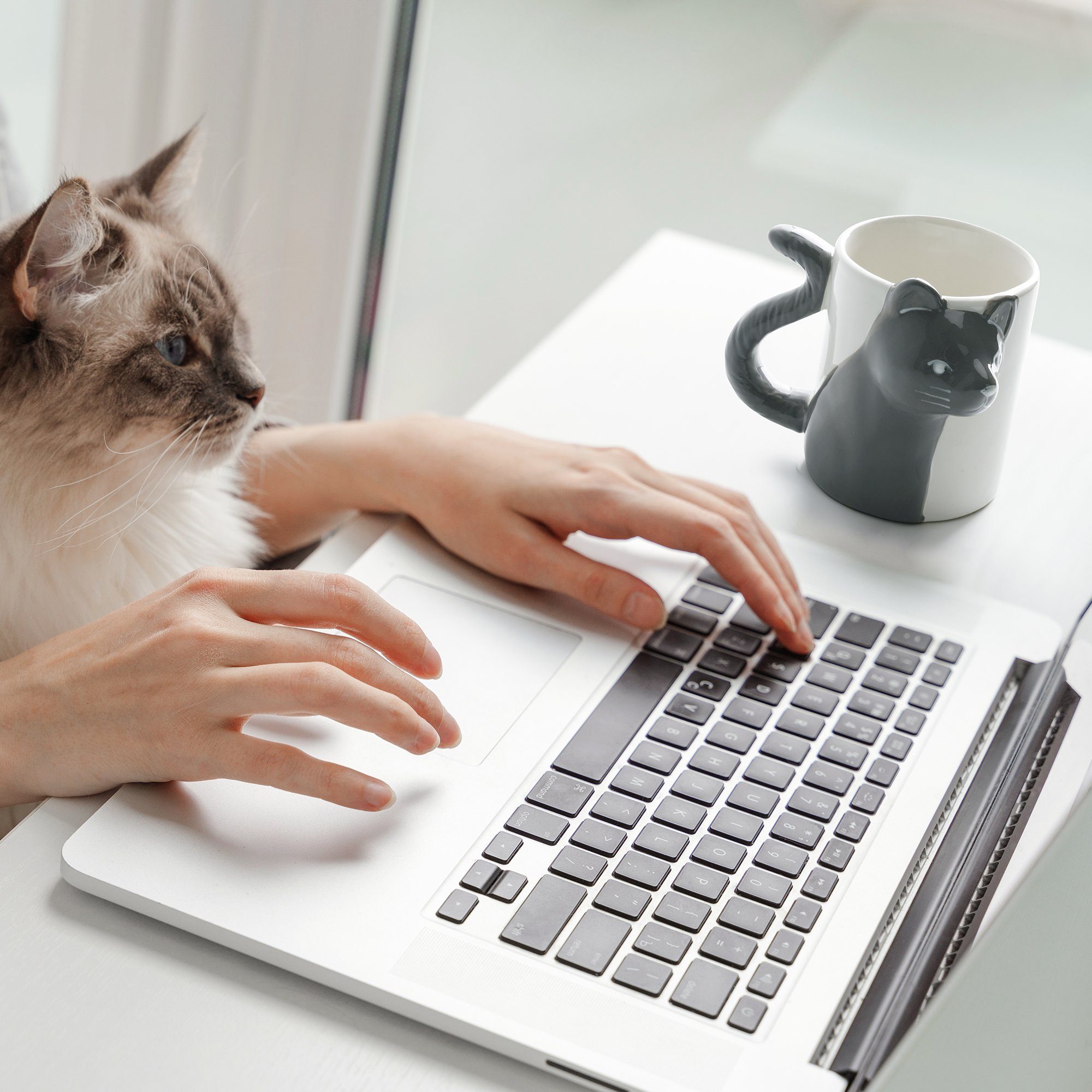 MiaMio Kaffeeservice Cat Mugs Set of 2