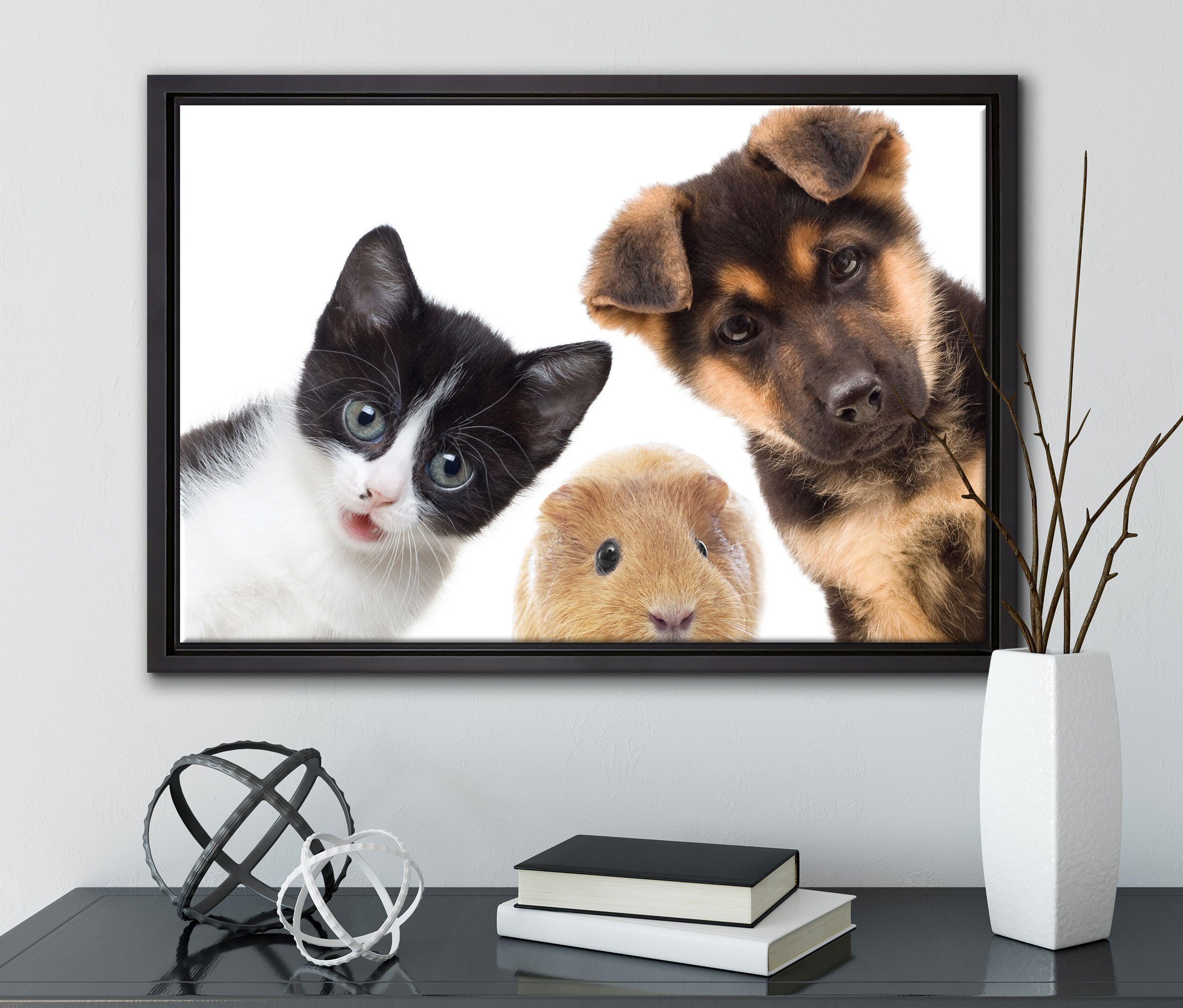 Pixxprint Leinwandbild Trio Hund Katze bespannt, Leinwandbild in Zackenaufhänger einem Wanddekoration Schattenfugen-Bilderrahmen gefasst, Meerschwein, (1 fertig St), inkl