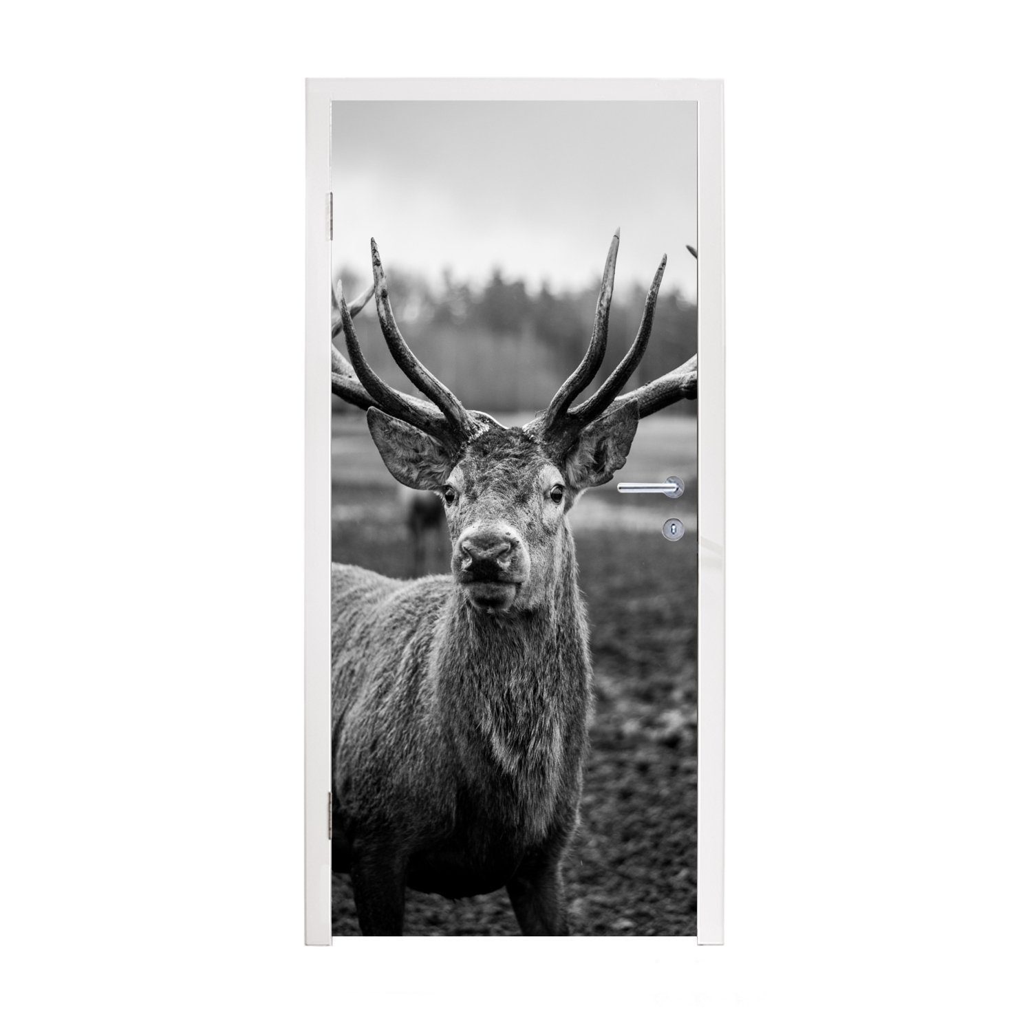 MuchoWow Türtapete Tiere - Hirsch - Geweih - Schwarz und weiß - Natur, Matt, bedruckt, (1 St), Selbstklebende Tapete, Folie für Möbel, 75x205 cm