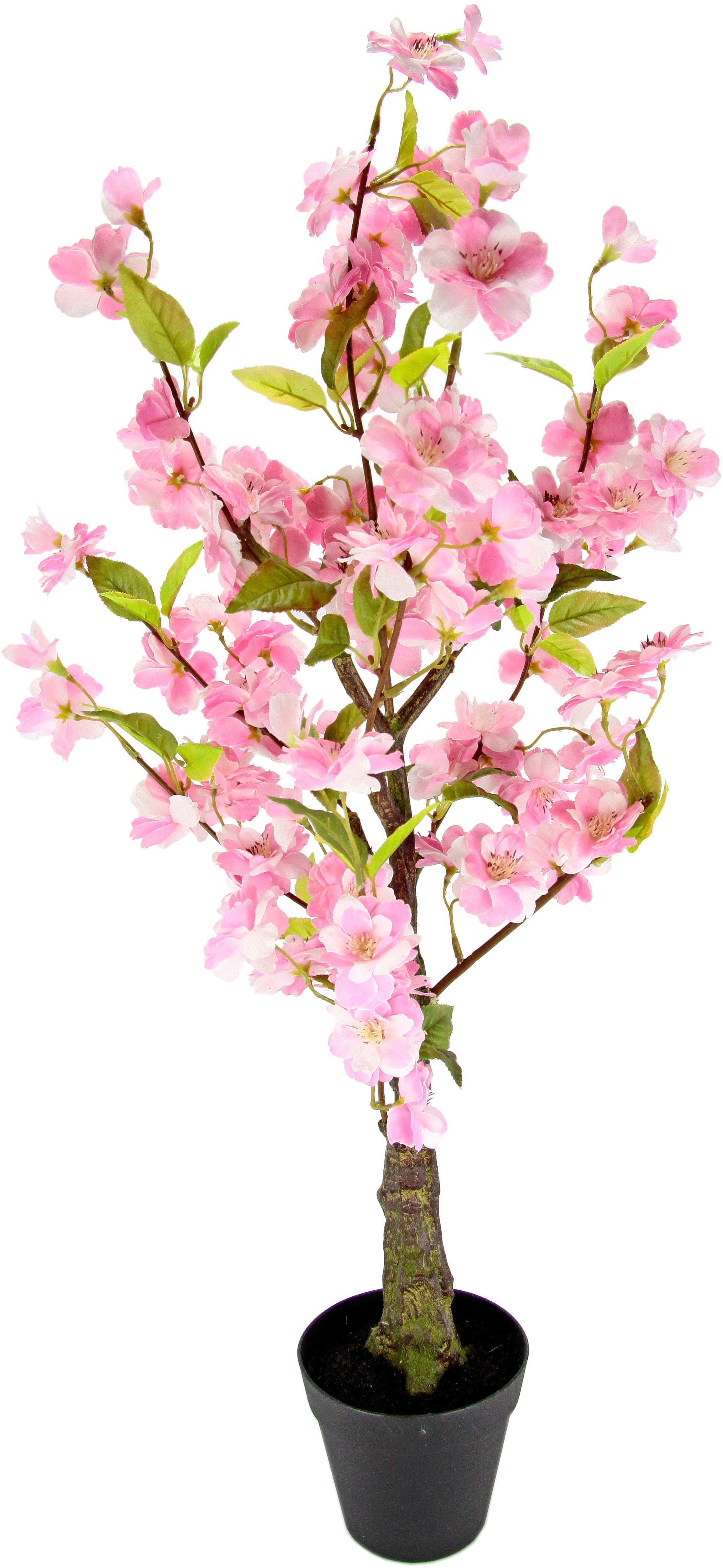 Kunstbaum Kirschblütenbaum, I.GE.A., Höhe 78 cm, günstig online kaufen