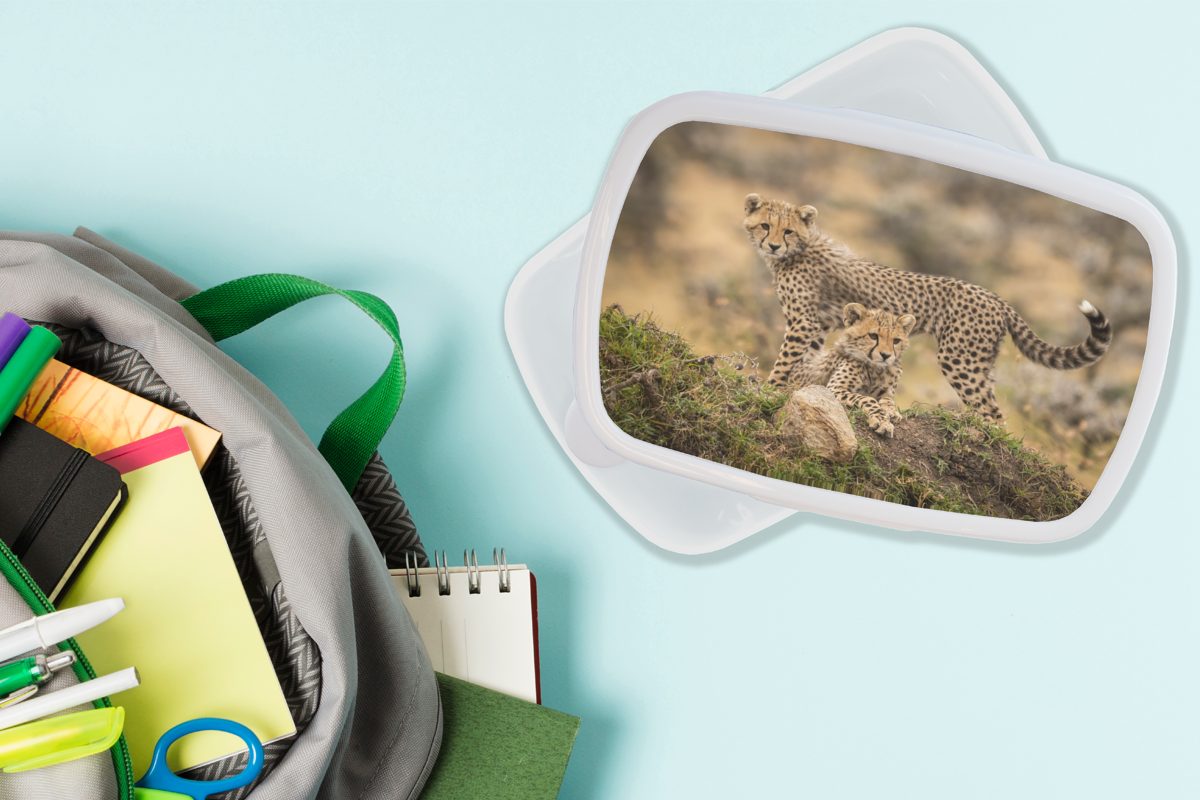 MuchoWow Lunchbox Leopard - Jungtier Brotbox Mädchen Brotdose, für (2-tlg), Kunststoff, Natur, für Kinder und Jungs weiß - und Erwachsene