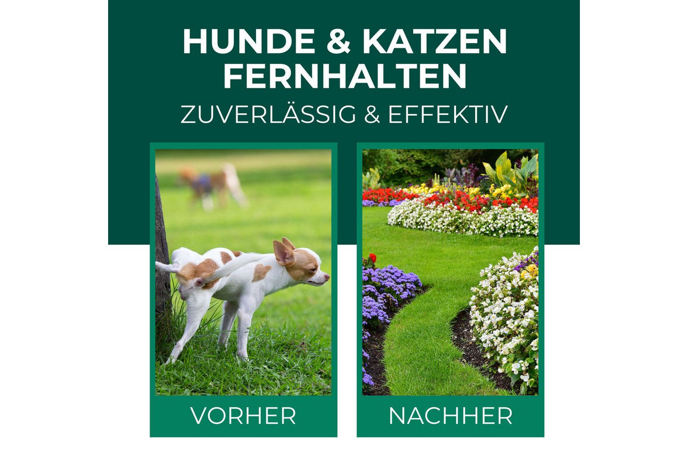 Thumbnail - Silberkraft Vergrämungsmittel Hunde und Katzen Stopp Ex Granulat - Vertreibt Hund & Katze, 400 g, 2-St., Hundeabwehr & K...