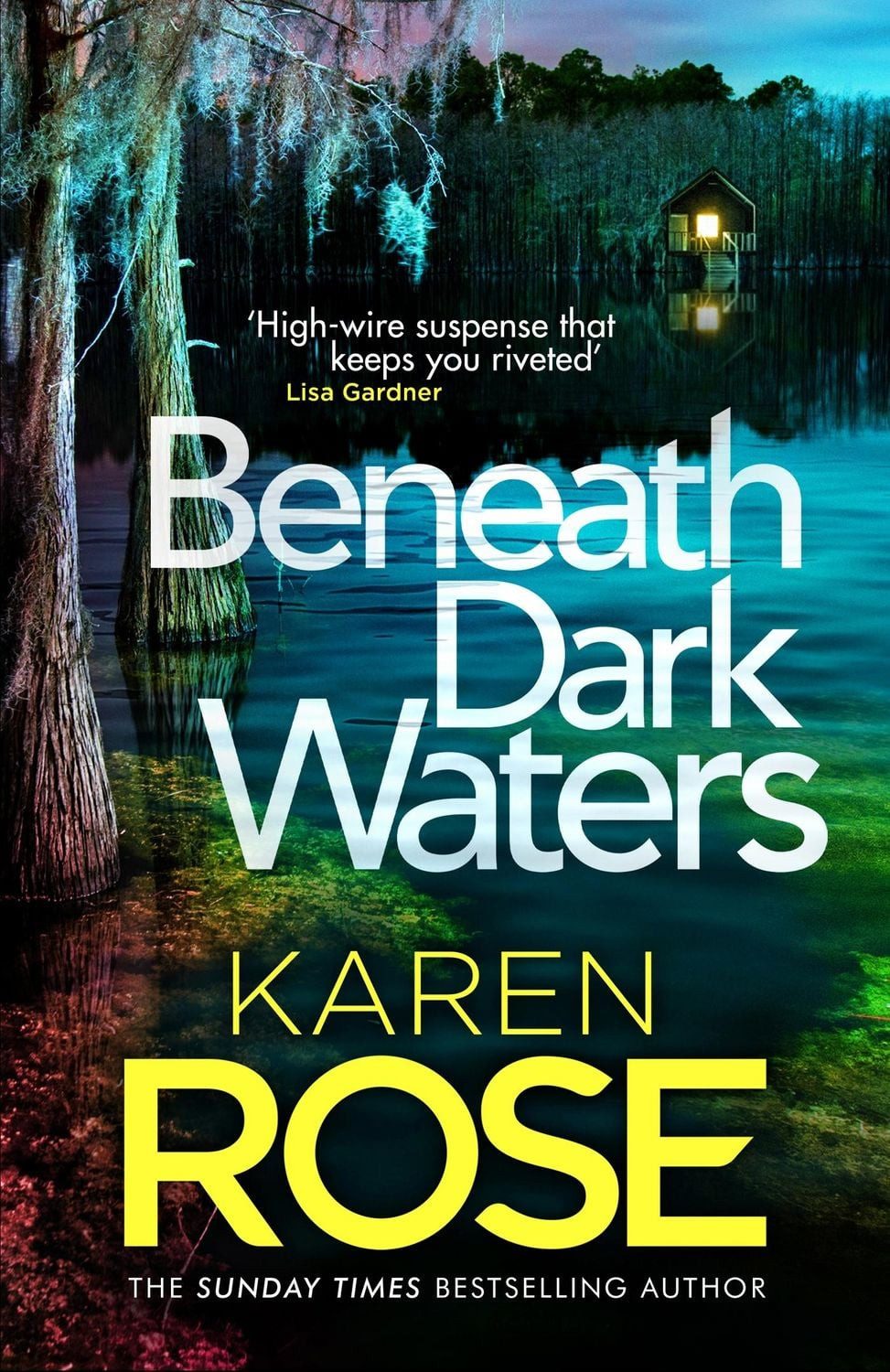Beneath Dark Waters / Karen Rose