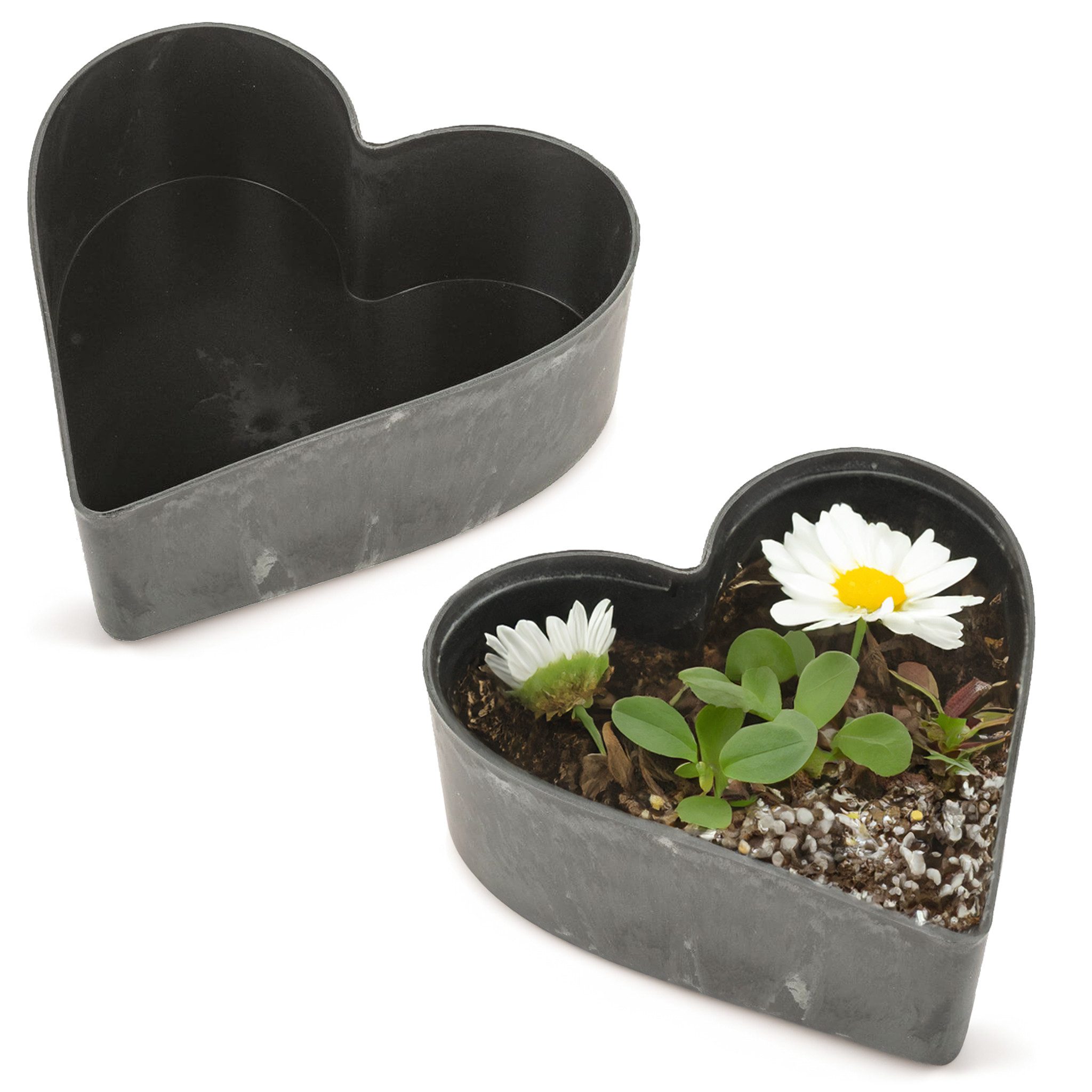 matches21 HOME & HOBBY Blumentopf Herz Pflanzschalen für draussen 2 Stk. sc günstig online kaufen