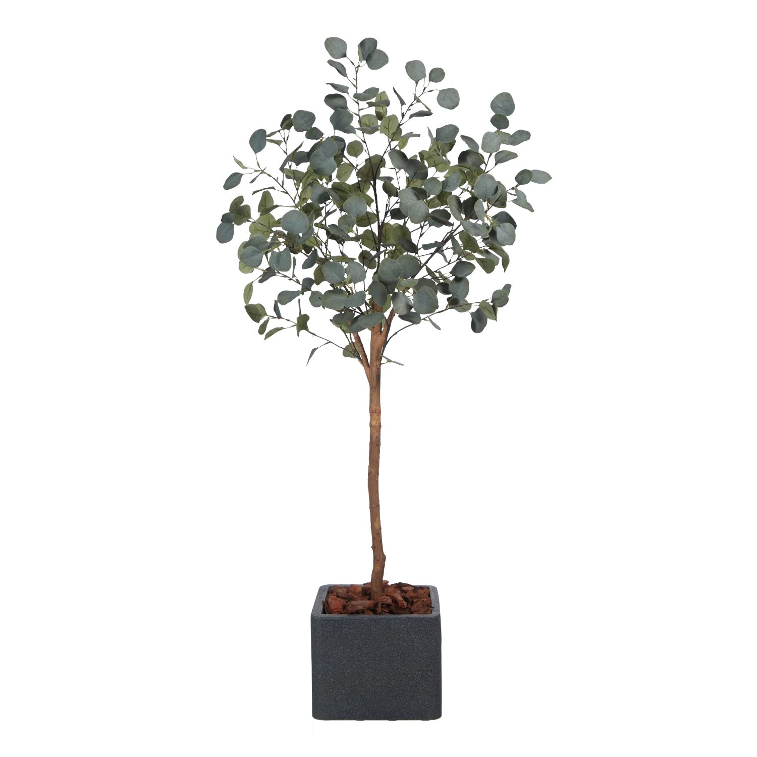 Kunstbaum Künstlicher Eucalyptus Baum - Parla, 150 cm, aplanta