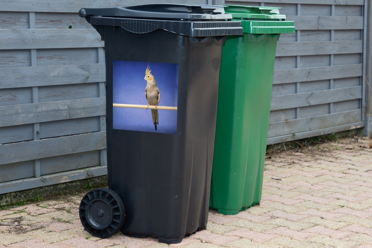 auf MuchoWow einem Abfalbehälter Mülltonne, Mülleimer-aufkleber, Falken-Sittich Stock (1 Container, Wandsticker Sticker, St),