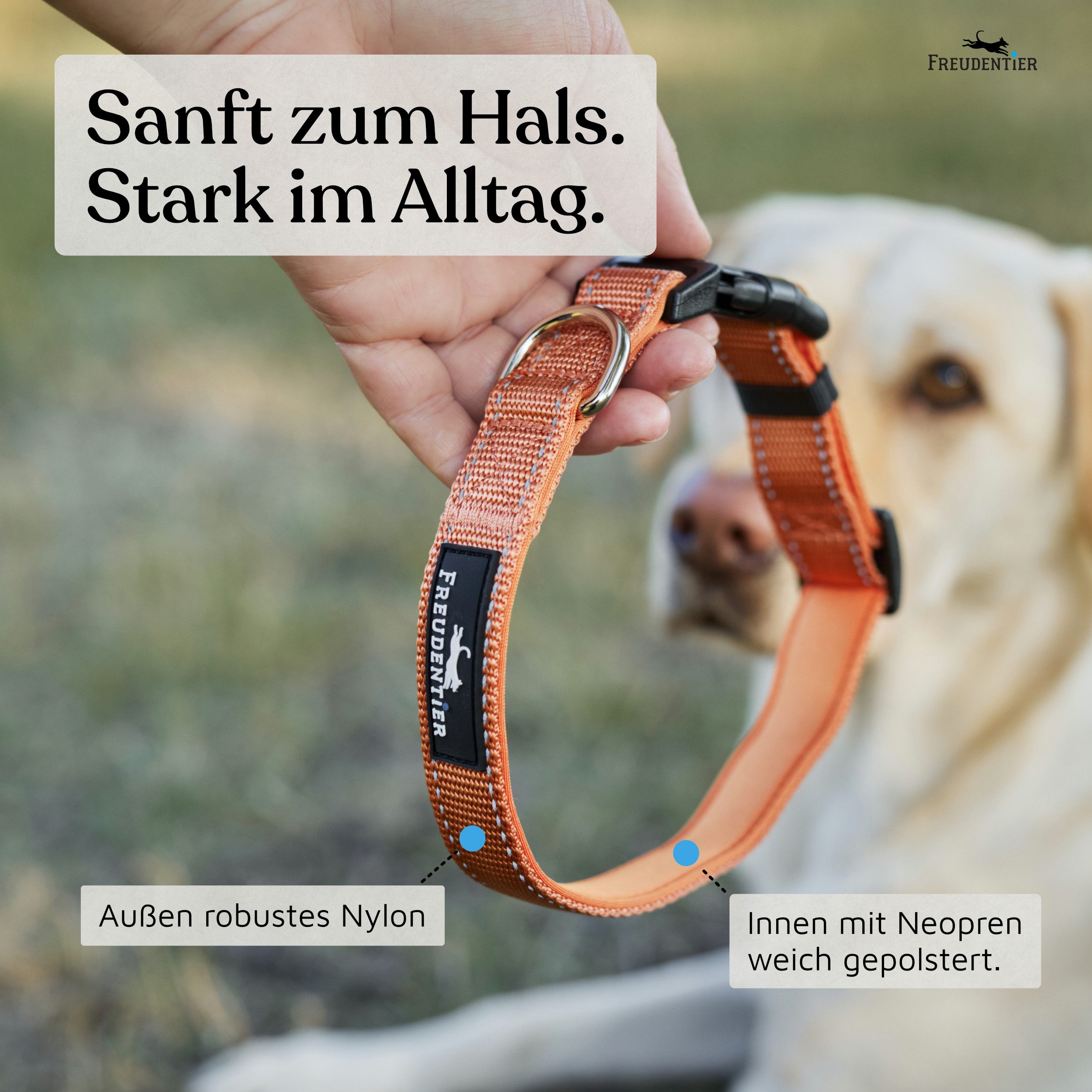 Freudentier Hunde-Halsband Hundehalsband - gepolstert & reflektierend - Clyde Kollektion