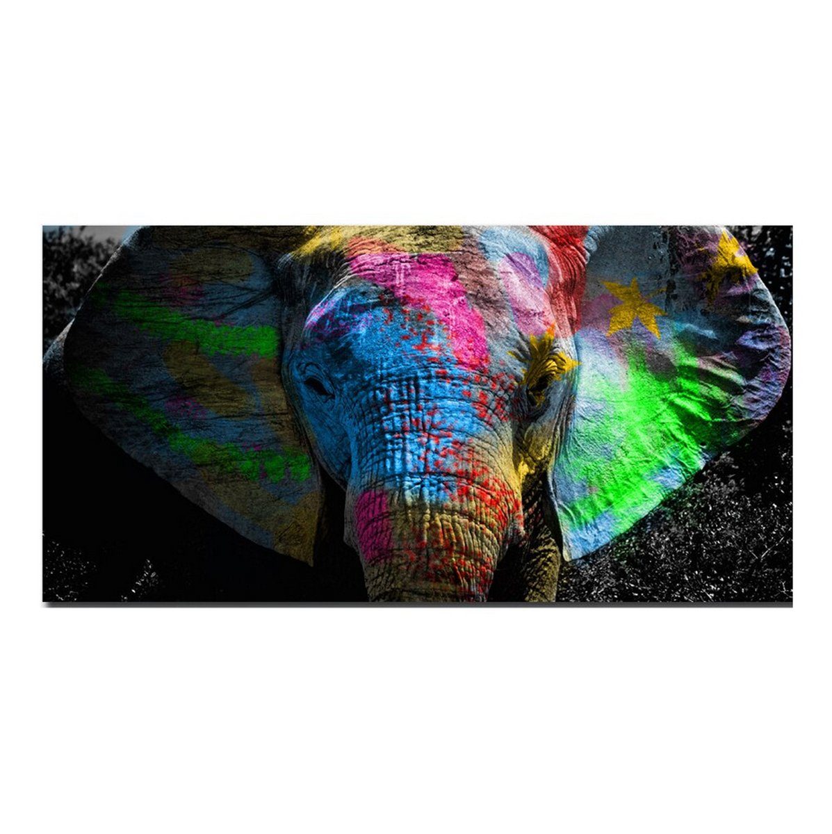 TPFLiving Kunstdruck (OHNE RAHMEN) Poster - Leinwand - Wandbild, Grafitti  Art - Bunter Elefant (Verschiedene Größen), Farben: Leinwand bunt - Größe:  100x200cm