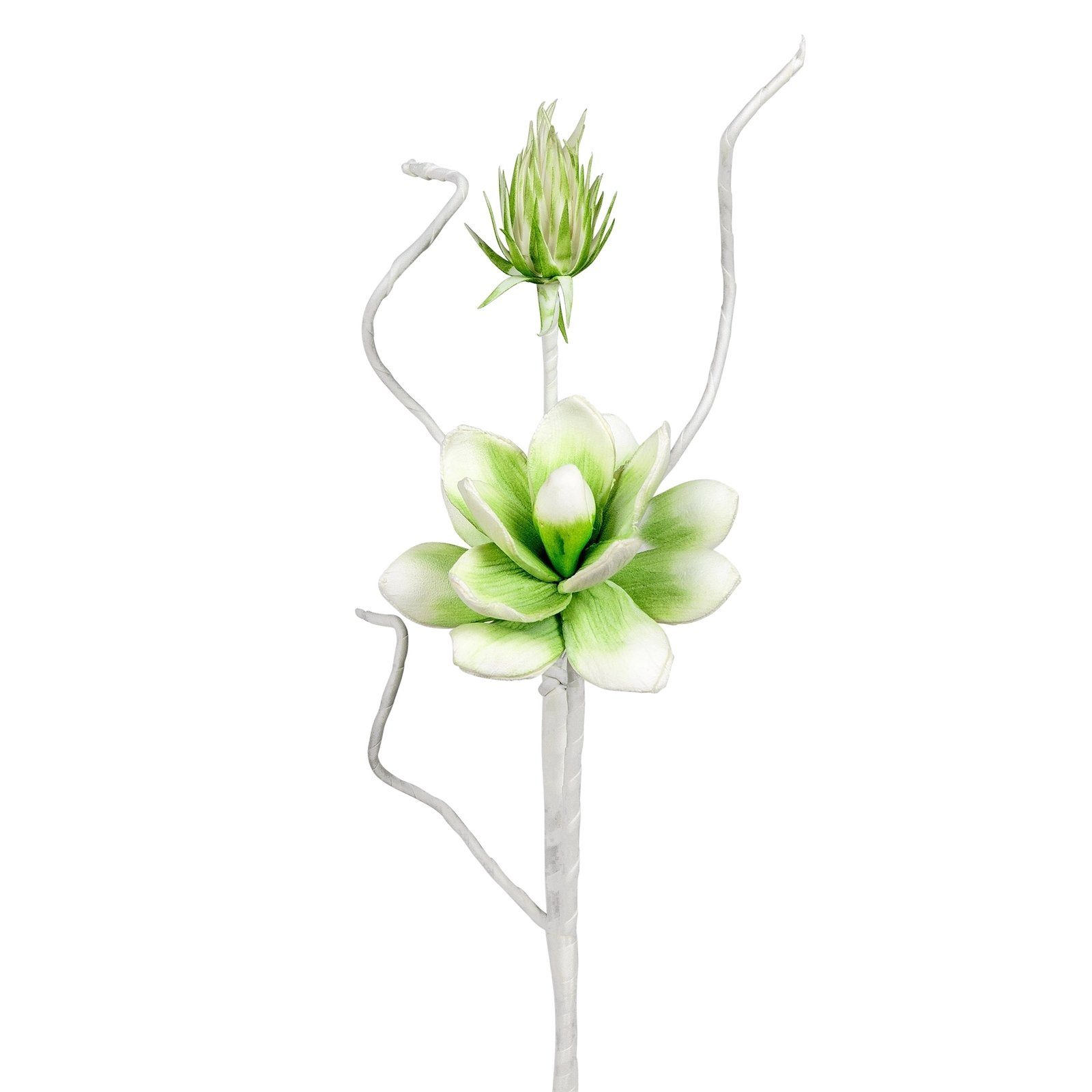 Kunstblume Blütenzweig weiß-grün, formano, Höhe 54 cm