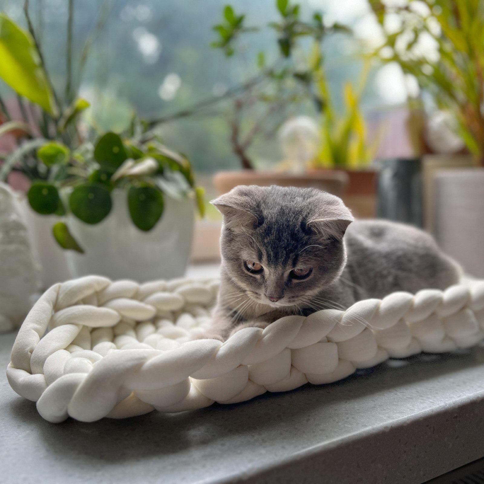 Aumüller Tierkissen Fensterbankliege für Katzen, Katzenbett aus Grobstrick, Beige