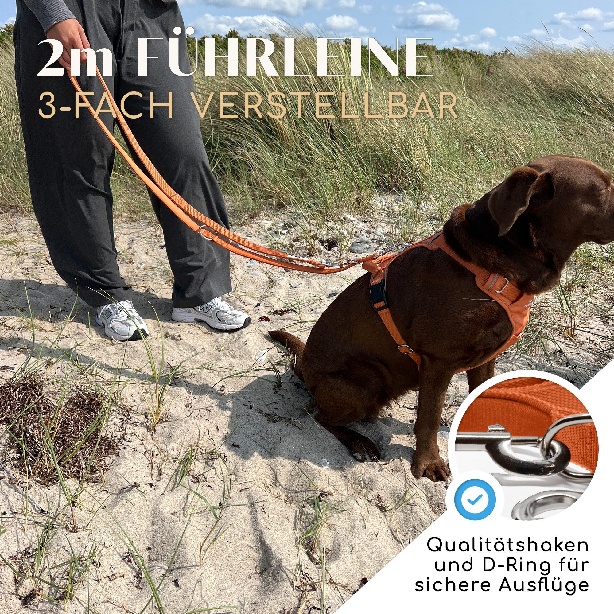 Freudentier Hundeleine 2m, verstellbar & gepolstert, Führleine aus Nylon, für mittelgroße & große Hunde