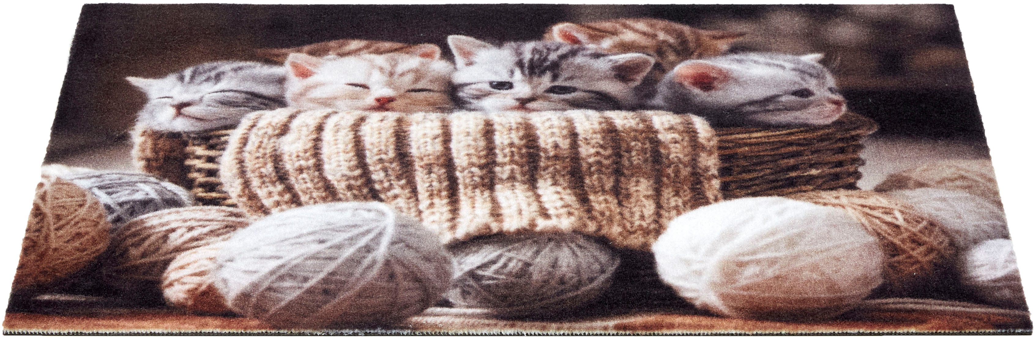 ASTRA Fußmatte Deco Print 109, rechteckig, Höhe: 5 mm, Sauberlaufmatte, Türmatte, waschbar, Eingangsbereich, rutschfest – Bild 2 von 5