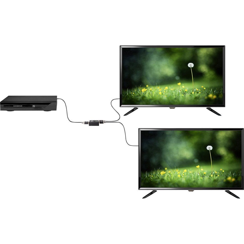 SpeaKa Professional SpeaKa Professional SP-7141056 2 Port HDMI-Switch UHD 4K @ 60 Hz Netzwerk-Adapter