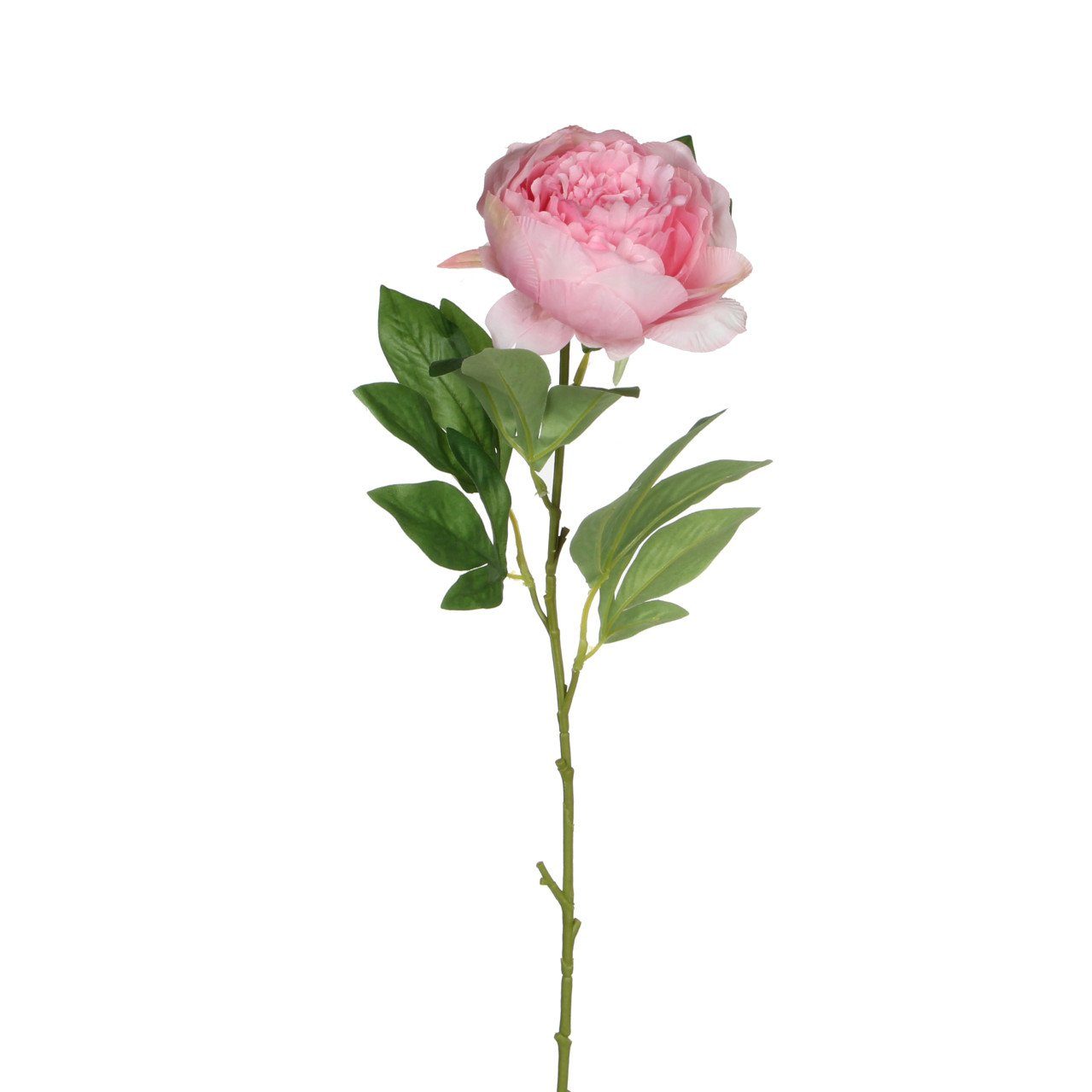 Kunstpflanze Mica künstliche Pfingstrose rosa 76 günstig online kaufen