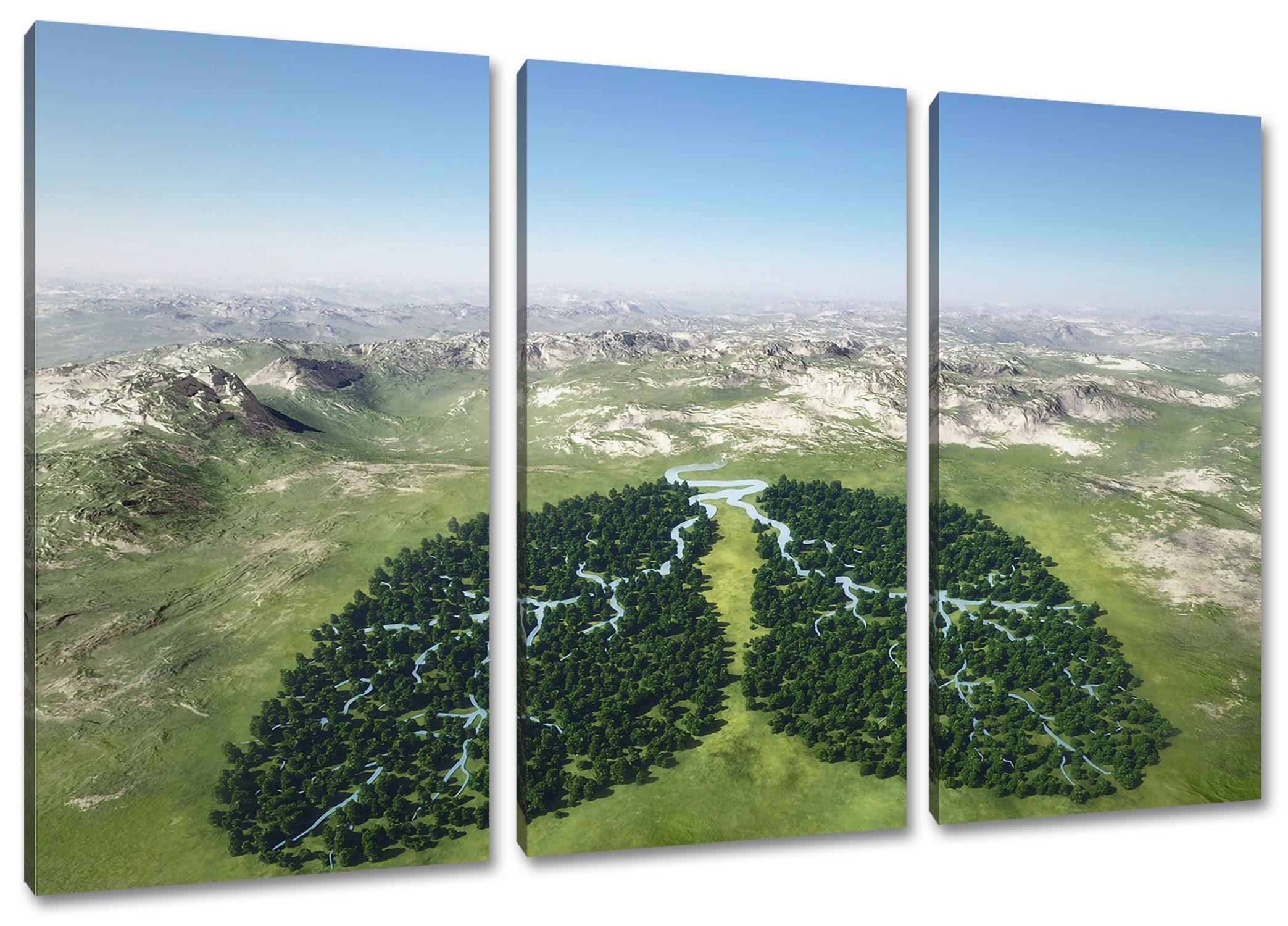Pixxprint Leinwandbild Grüne Lunge der Natur, Grüne Lunge der Natur 3Teiler (120x80cm) (1 St), Leinwandbild fertig bespannt, inkl. Zackenaufhänger
