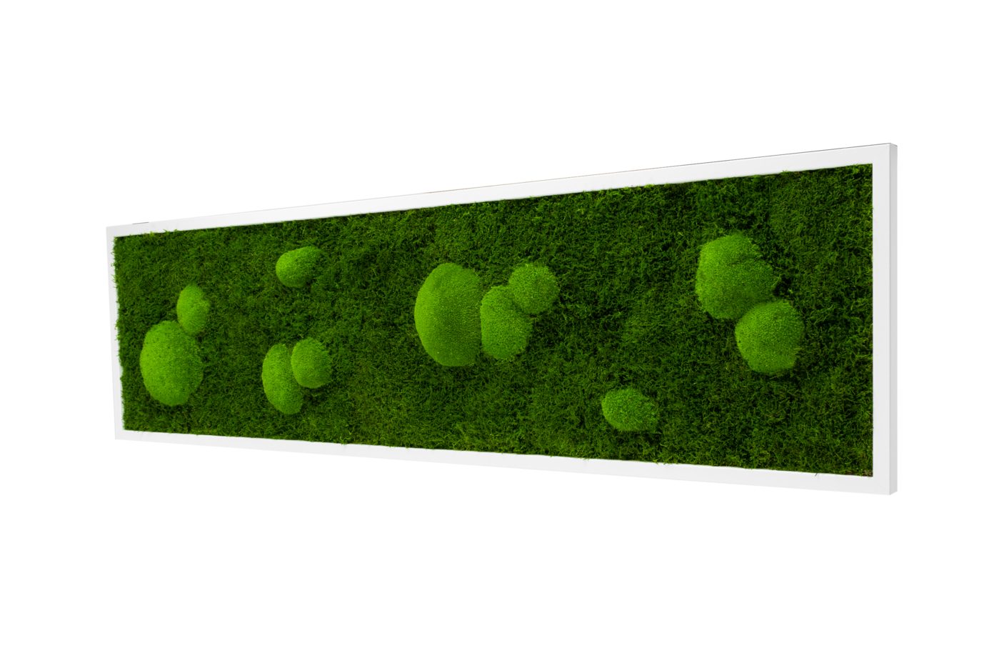 Moos-Design Bilderrahmen Moos Bild Forest Design günstig online kaufen