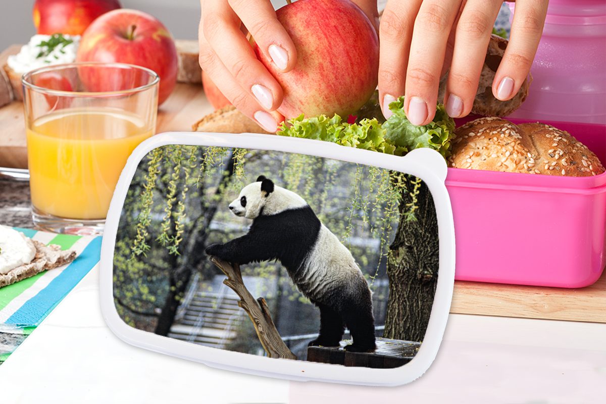Lunchbox - rosa Erwachsene, für Kinder, Fluss Kunststoff, Mädchen, Kunststoff Panda - Baum, Brotdose MuchoWow Snackbox, (2-tlg), Brotbox