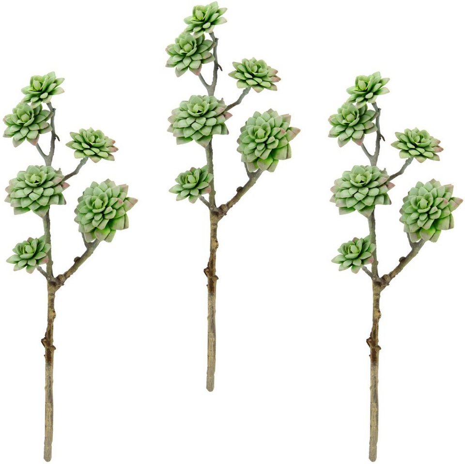 Kunstpflanze Sukkulentenzweig, I.GE.A., Höhe 45 cm, 3er Set