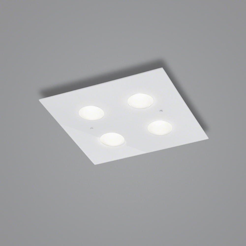 Helestra LED Deckenleuchte LED Deckenleuchte Nomi in Weiß 4x 6W 1910lm 380x380mm, keine Angabe, Leuchtmittel enthalten: Ja, fest verbaut, LED, warmweiss, Deckenlampe, Deckenbeleuchtung, Deckenlicht