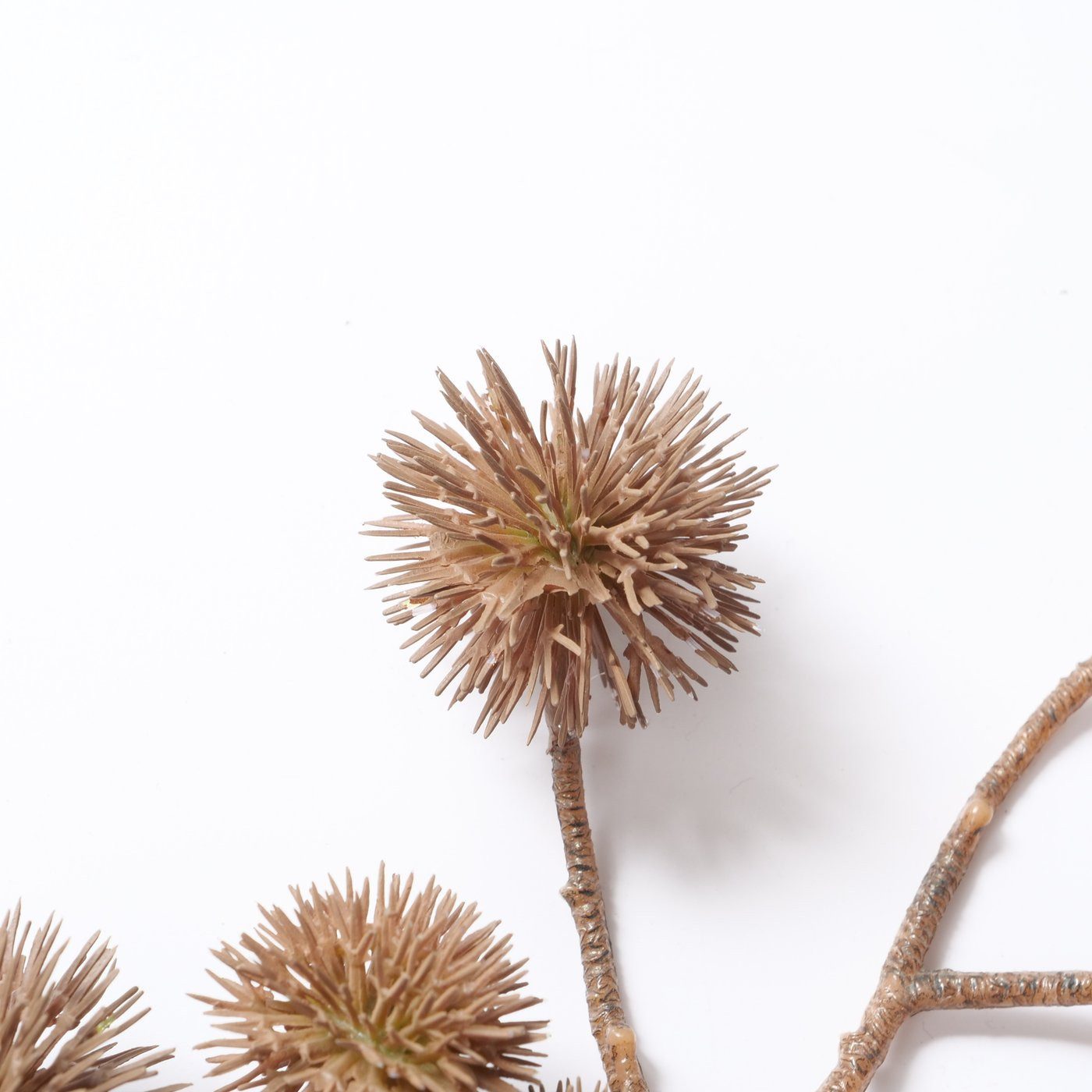 Deko-Zweig Castania  50 cm, 15x5x50 cm günstig online kaufen