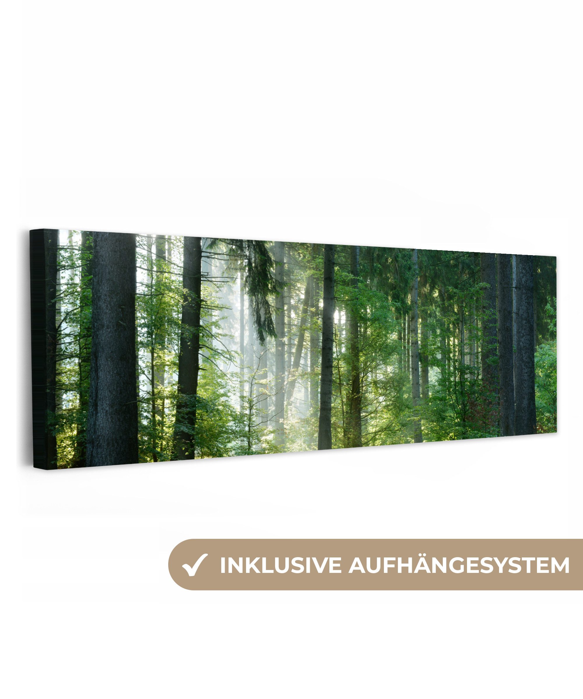 OneMillionCanvasses® Leinwandbild Panorama Natur - Bäume - Wald - Grün - Sonne - Gras - Pflanzen, Fotodruck (1 St), Wandbild, Deko Schlafzimmer Wohnzimmer Flur 60x20 cm