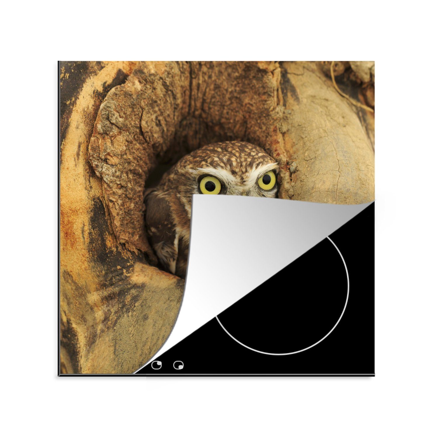 MuchoWow Herdblende-/Abdeckplatte Eule - Baum tlg), Arbeitsplatte Ceranfeldabdeckung, (1 cm, - für küche Vinyl, Vogel, 78x78