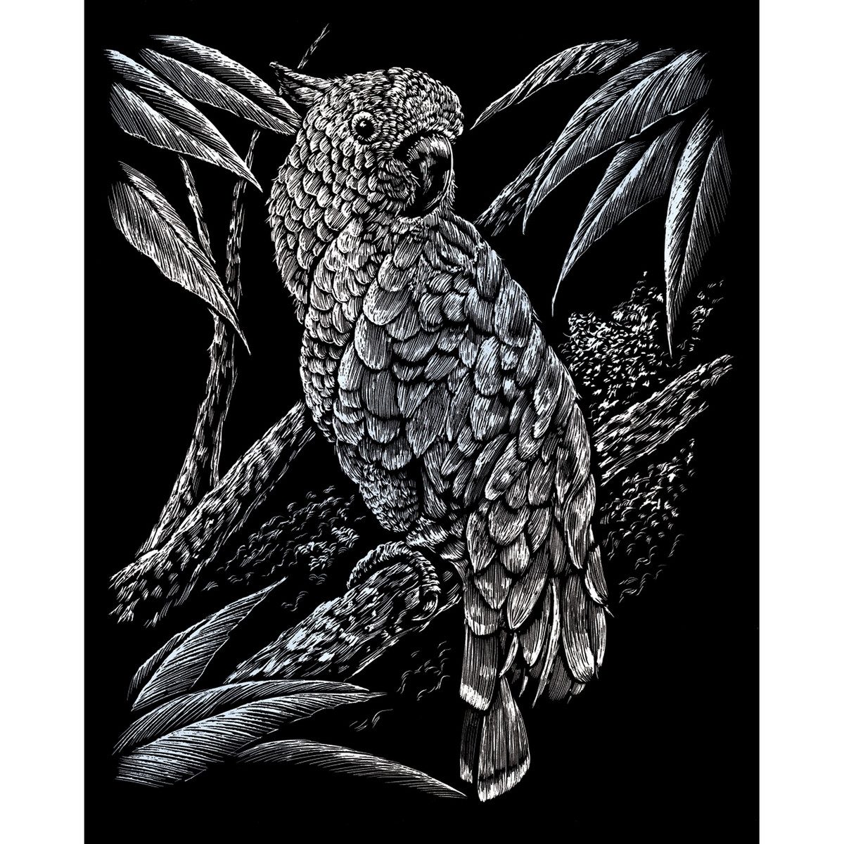 Pracht Bild PRACHT Kratzbild Kakadu silber 20x25cm