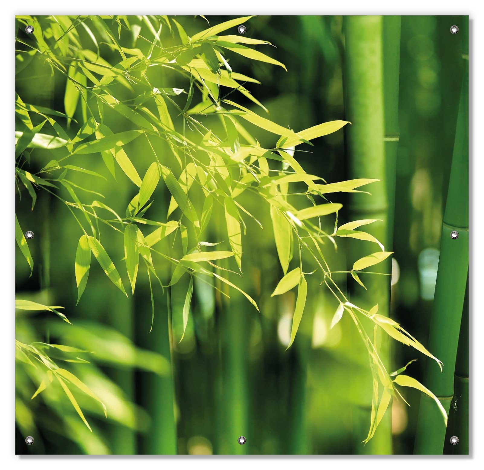 Sonnenschutz grünen und mit Saugnäpfen, Wallario, wiederablösbar Bambuswald Bambuspflanzen, wiederverwendbar blickdicht, mit