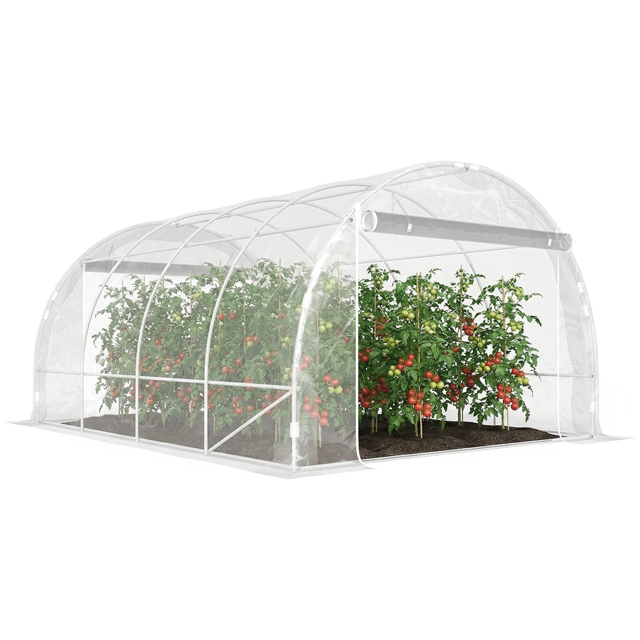 MC Star Gewächshaus 3x4x2 m Tunnelgewächshaus mit Rolltoren, Stahlrahmen und UV-beständiger PE-Plane, transparent