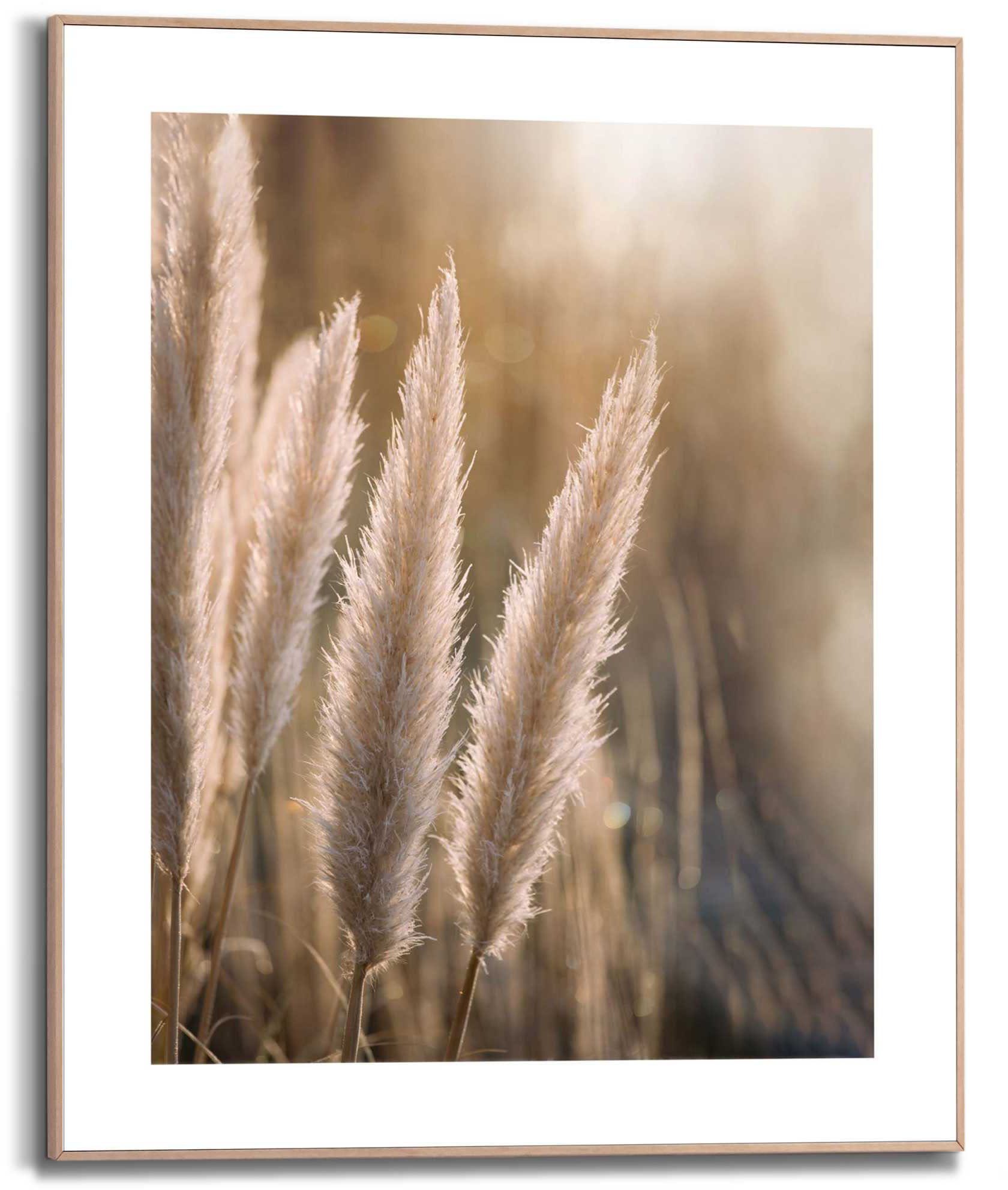Reinders! Kunstdruck Pampas günstig online kaufen