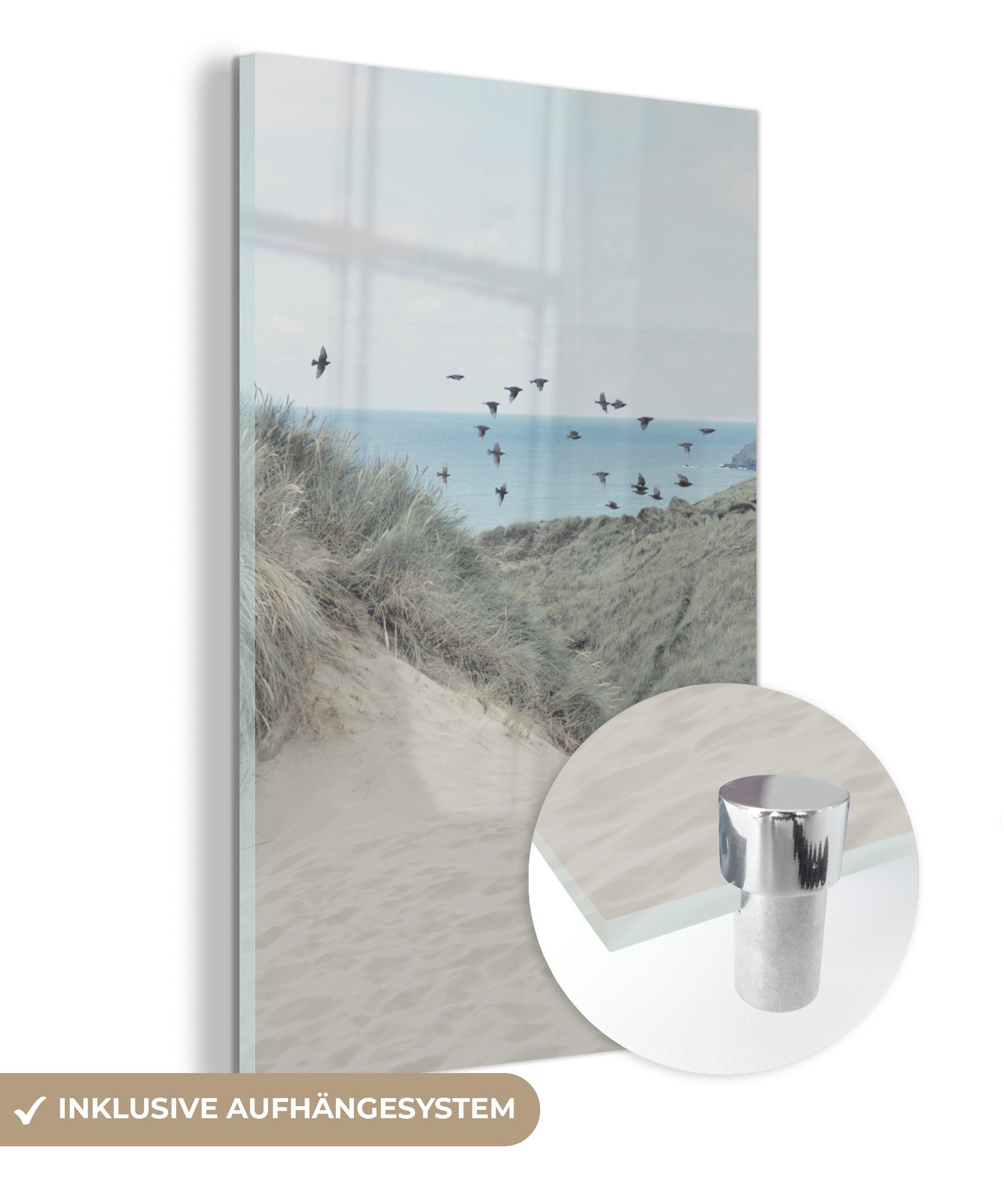 MuchoWow Acrylglasbild Strand - Vogel - Meer, (1 St), Glasbilder - Bilder auf Glas Wandbild - Foto auf Glas - Wanddekoration