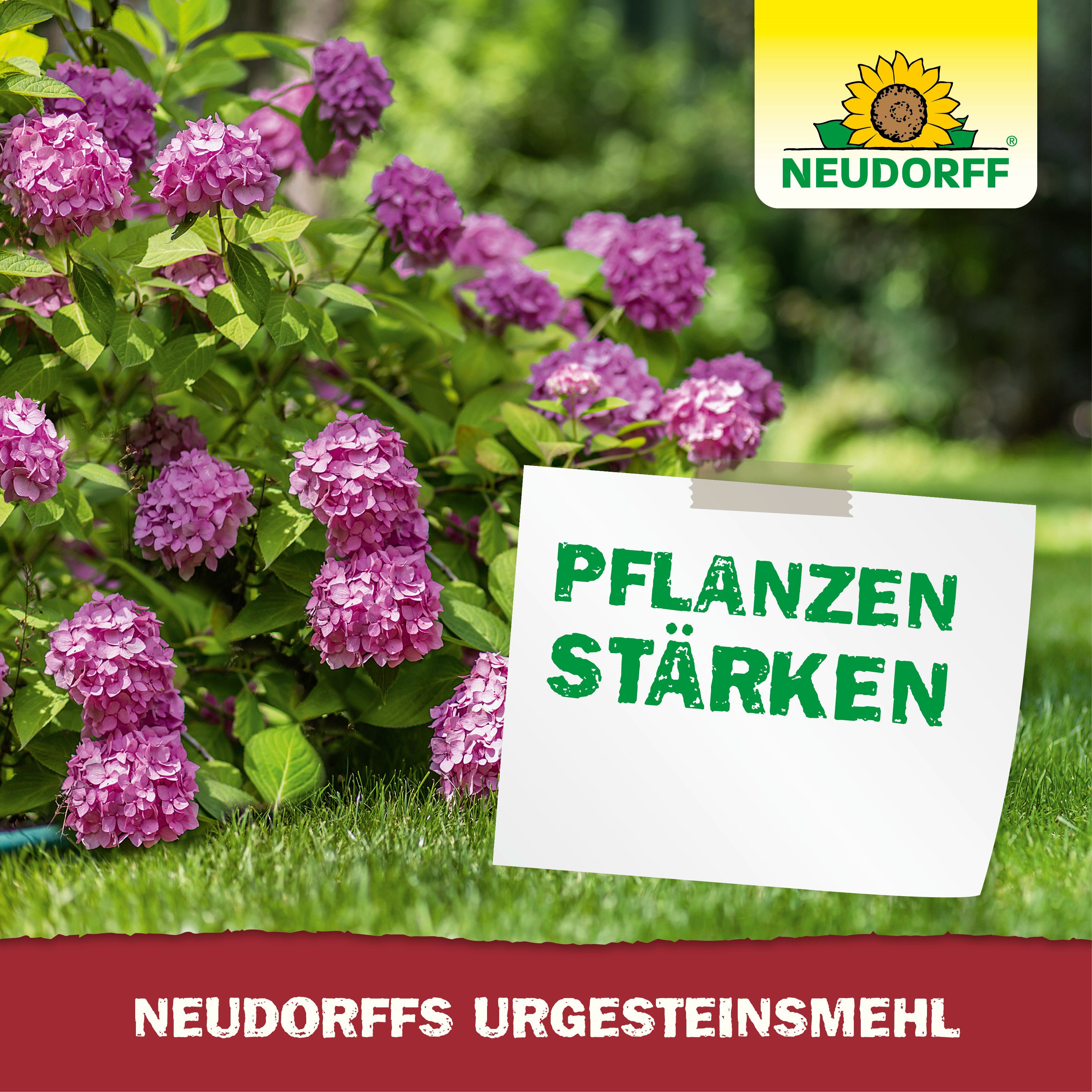 Neudorff Bodenverbesserer UrgesteinsMehl 20 kg, Zur Remineralisierung und Verbesserung ausgelaugter Böden, Bodenhilfsstoff für Garten, Rasen & Kompost bis 200 m – Bild 2 von 3