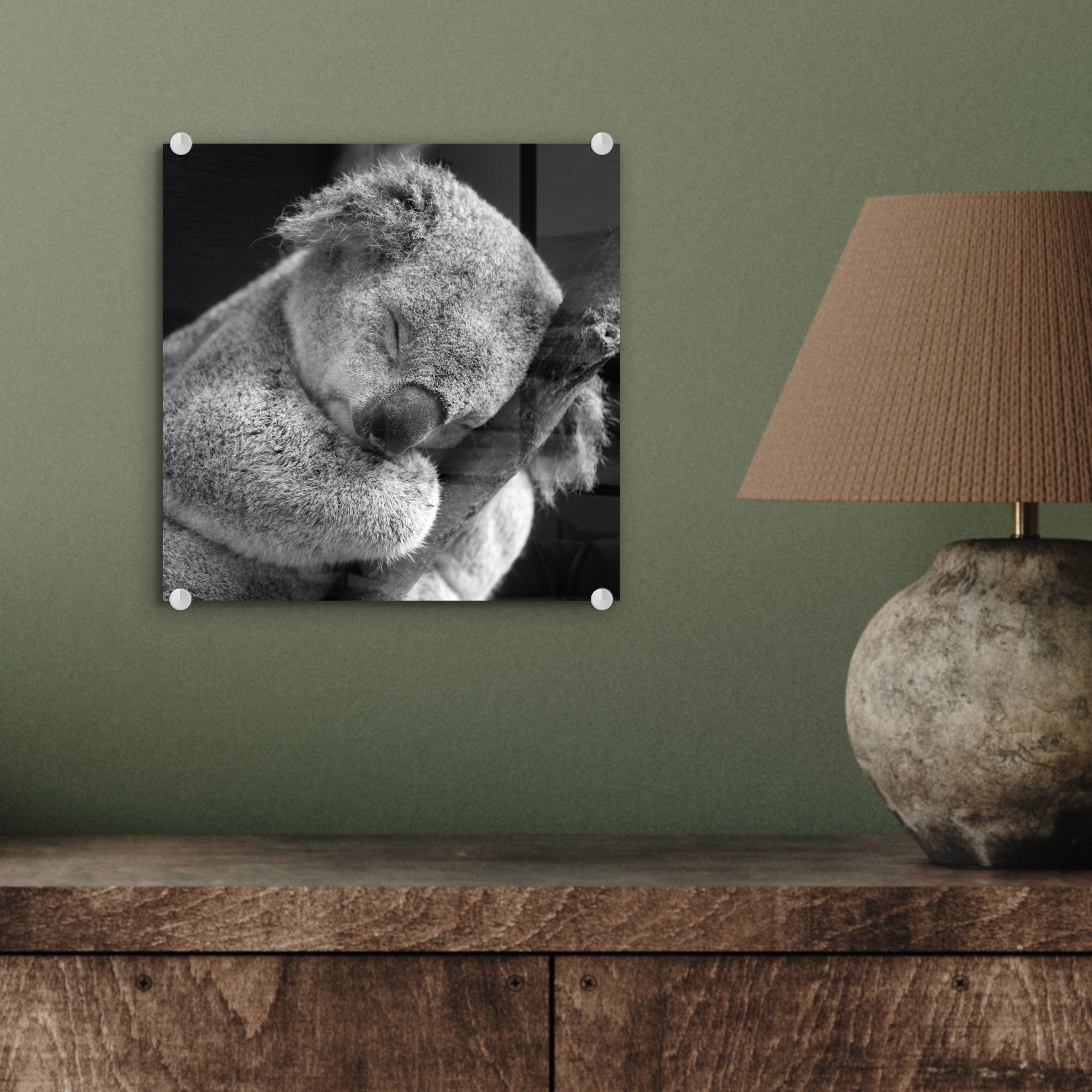 MuchoWow Acrylglasbild Schlafender Koala auf - Hintergrund, Wanddekoration St), - schwarzem (1 Foto auf auf Bilder Glas Wandbild Glas - Glasbilder