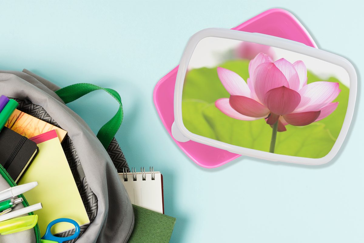 Erwachsene, Brotbox Brotdose Snackbox, Rosa, - Blumen Mädchen, Kunststoff, - Lunchbox für Kinder, MuchoWow Blätter Kunststoff (2-tlg),