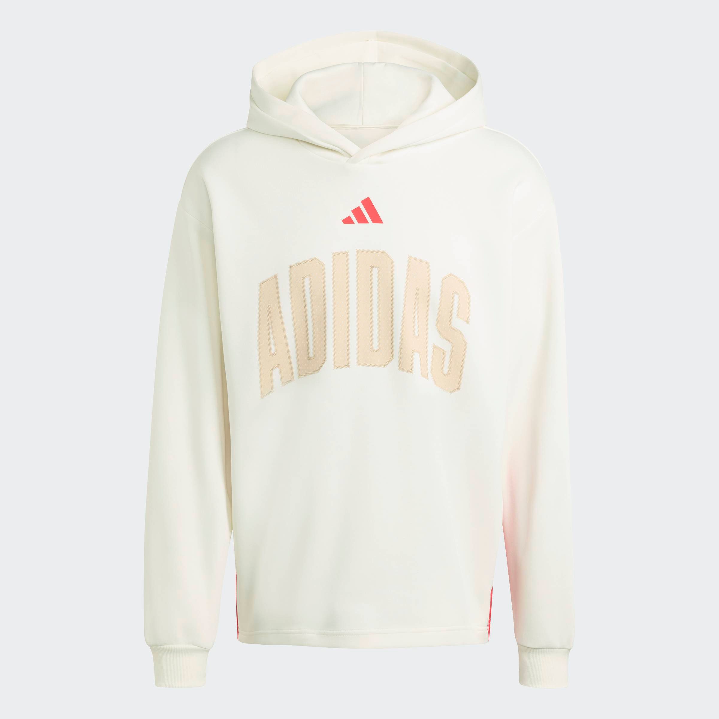Kapuzensweatshirt STADIUM GRAPHIC HOODIE