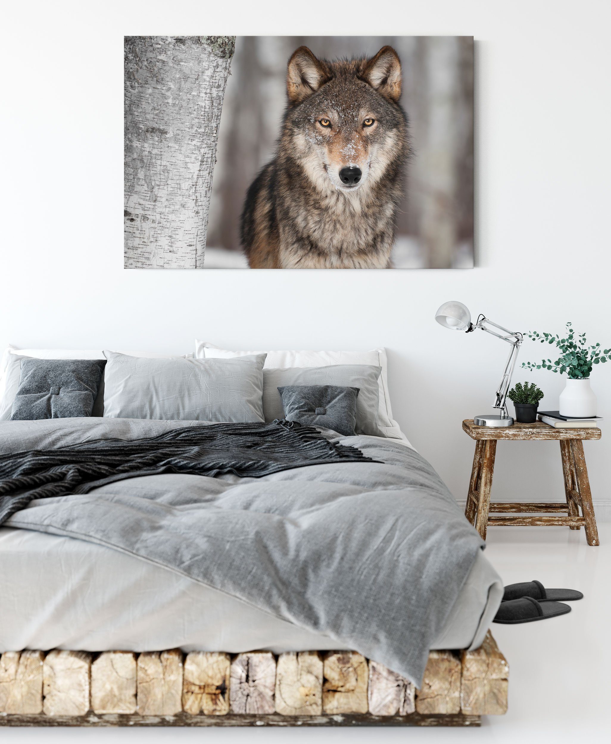 Zackenaufhänger inkl. Wolf Wolf, Wachsamer St), Pixxprint Leinwandbild Leinwandbild Wachsamer fertig (1 bespannt,