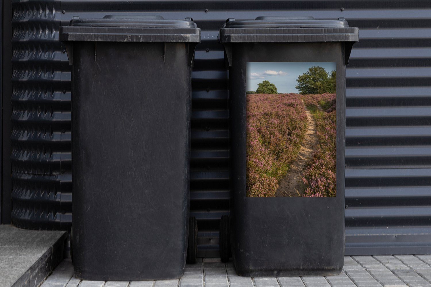 Ein Wandsticker Container, im Mülltonne, Dwingelderveld St), Sticker, (1 Wanderweg Nationalpark Mülleimer-aufkleber, Abfalbehälter MuchoWow