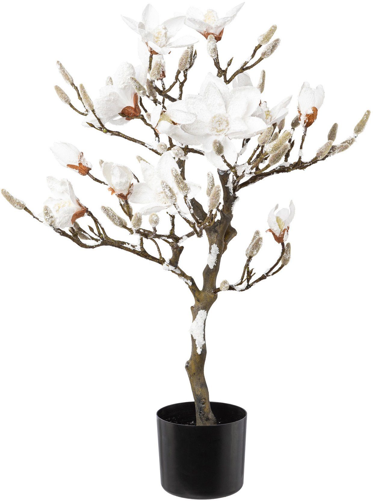Winterliche Kunstpflanze Weihnachtsdeko Magnolie, Creativ green, Höhe 87 cm günstig online kaufen